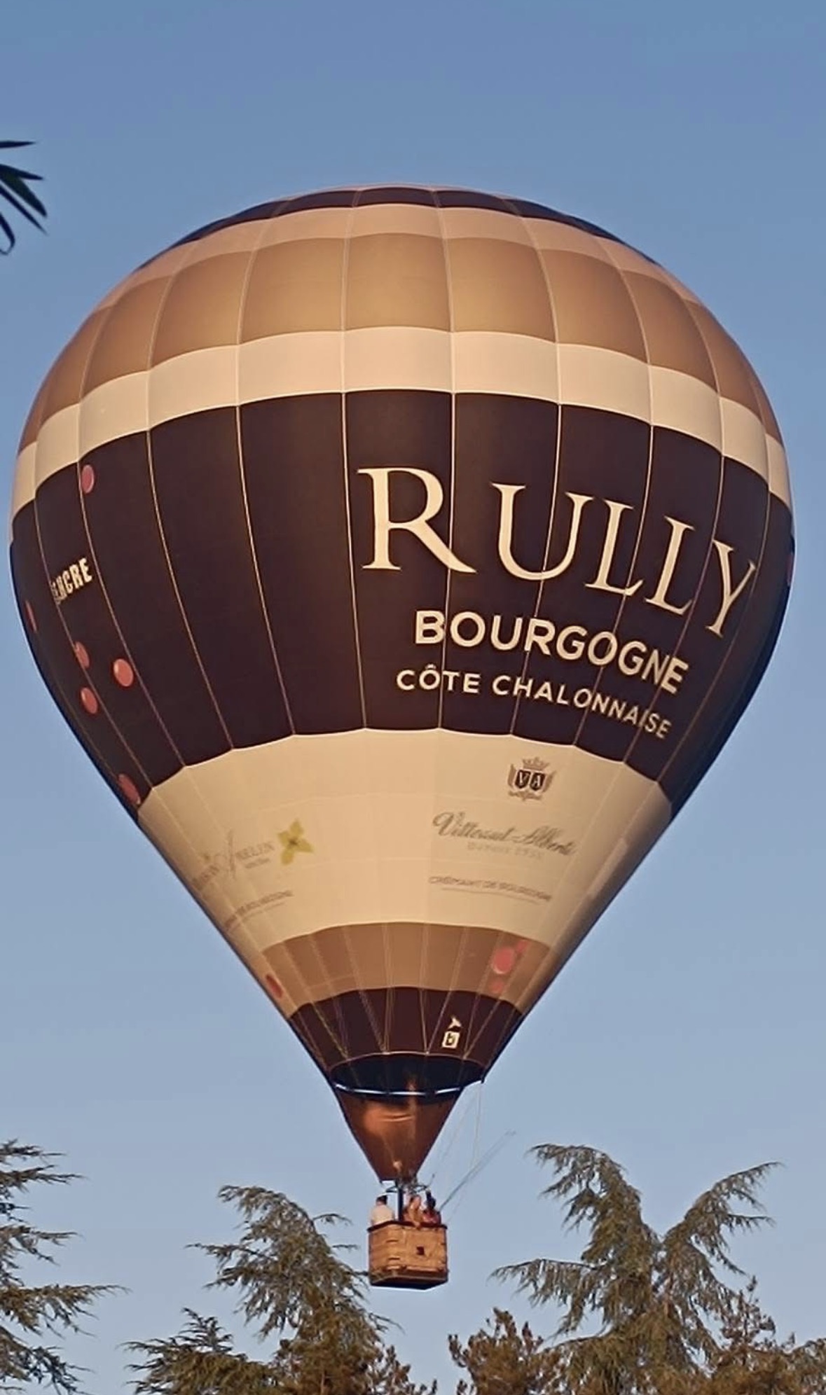 Ascension en montgolfière en vol captif