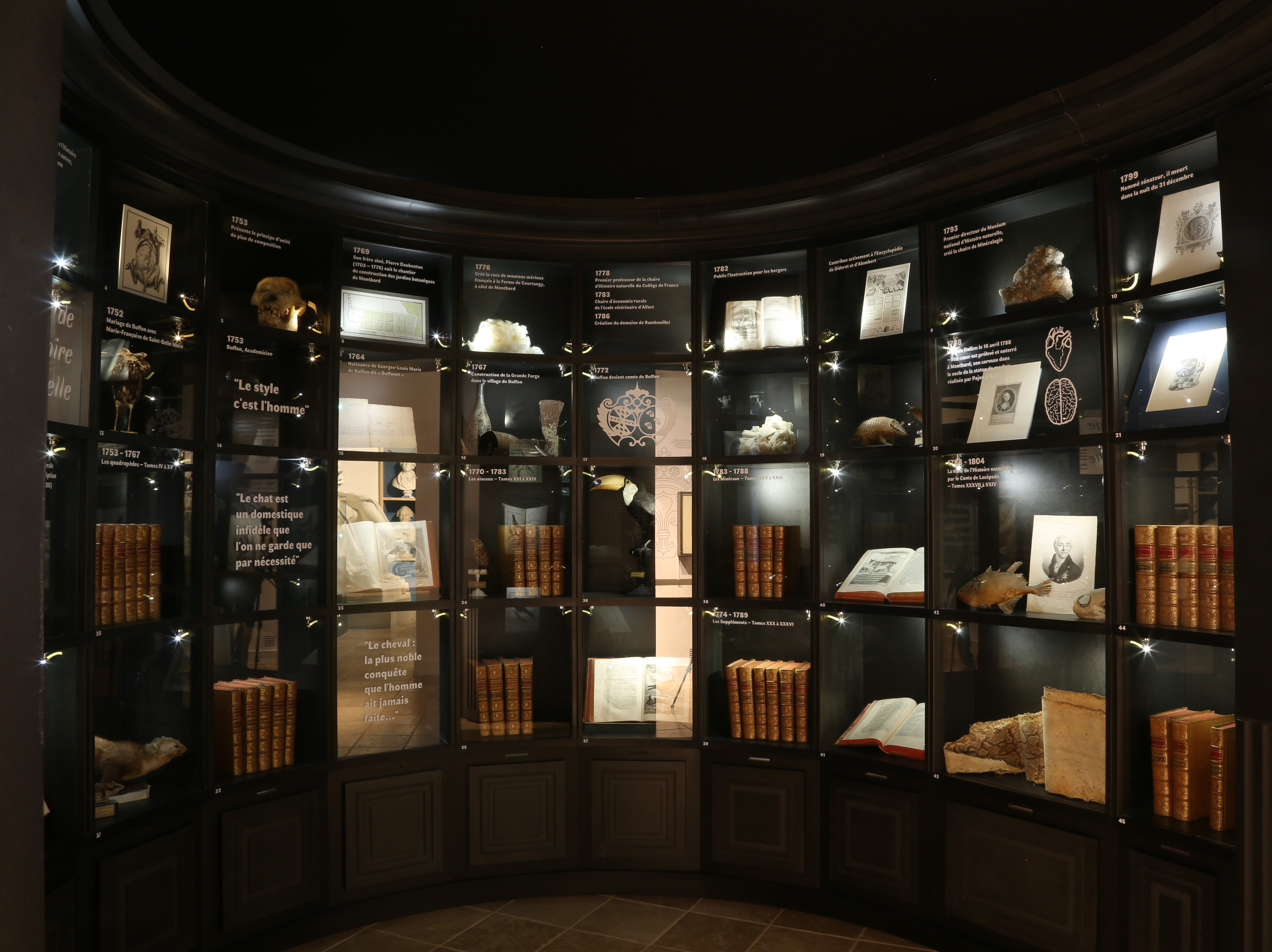 Musée Buffon 3 - Crédit Nicolas Barbosa