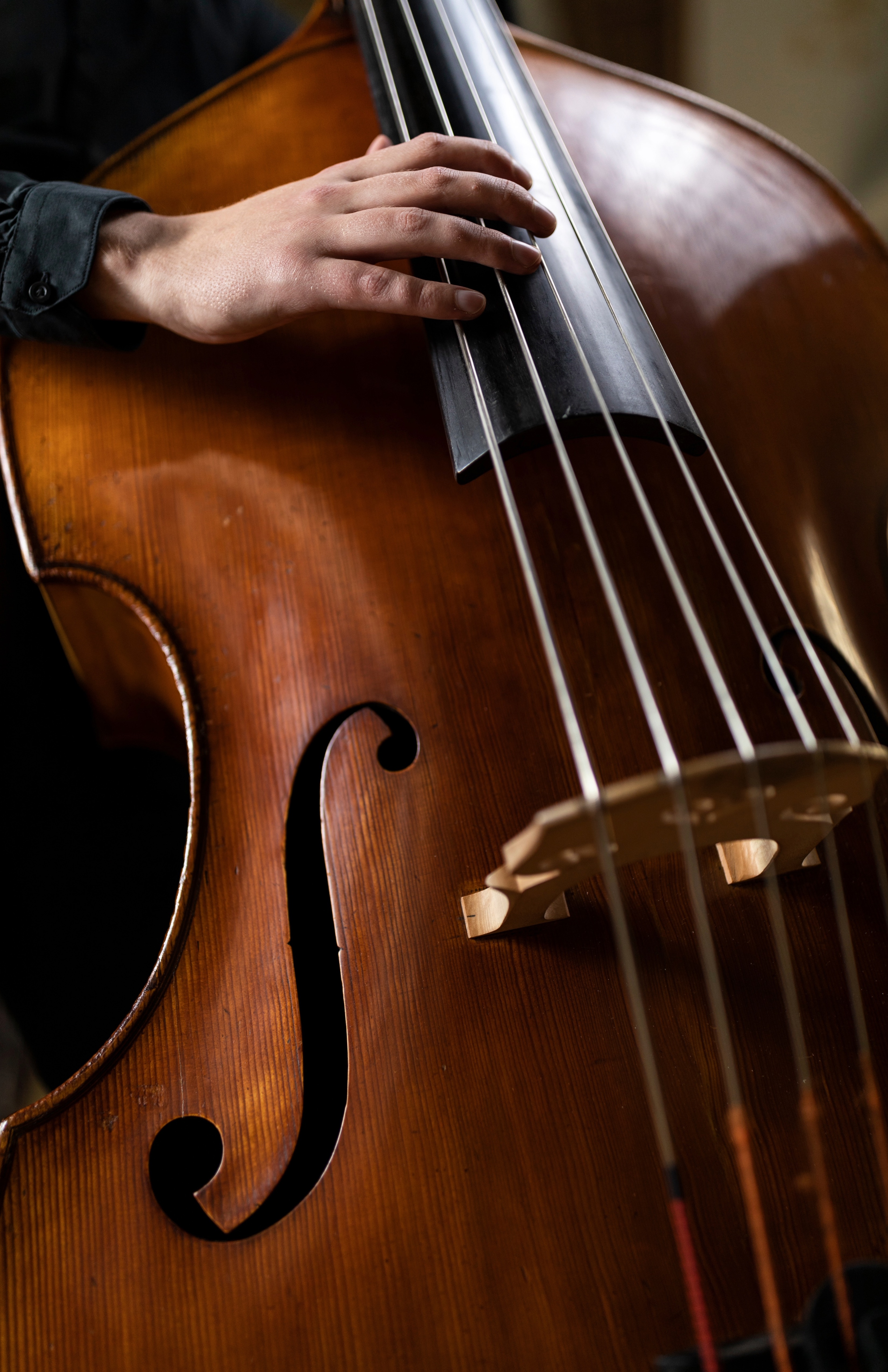 Musicien avec contrebasse