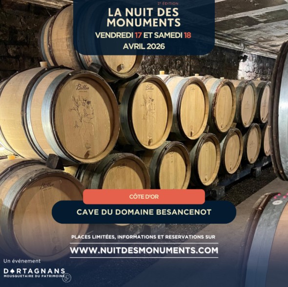 Odyssée viticole nocturne au Domaine Besancenot