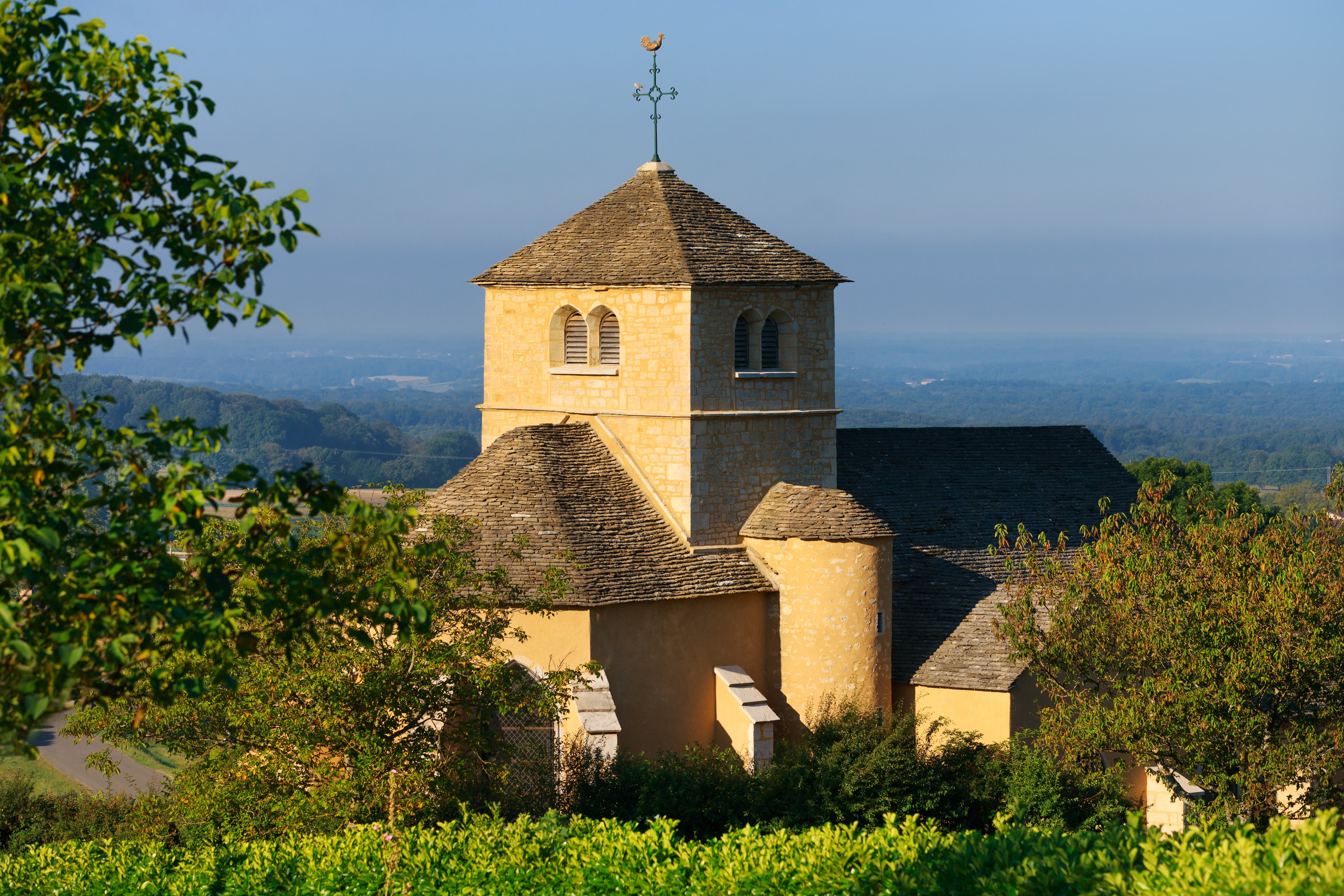 Nanc lés Saint Amour 01 ©Stéphane Godin
