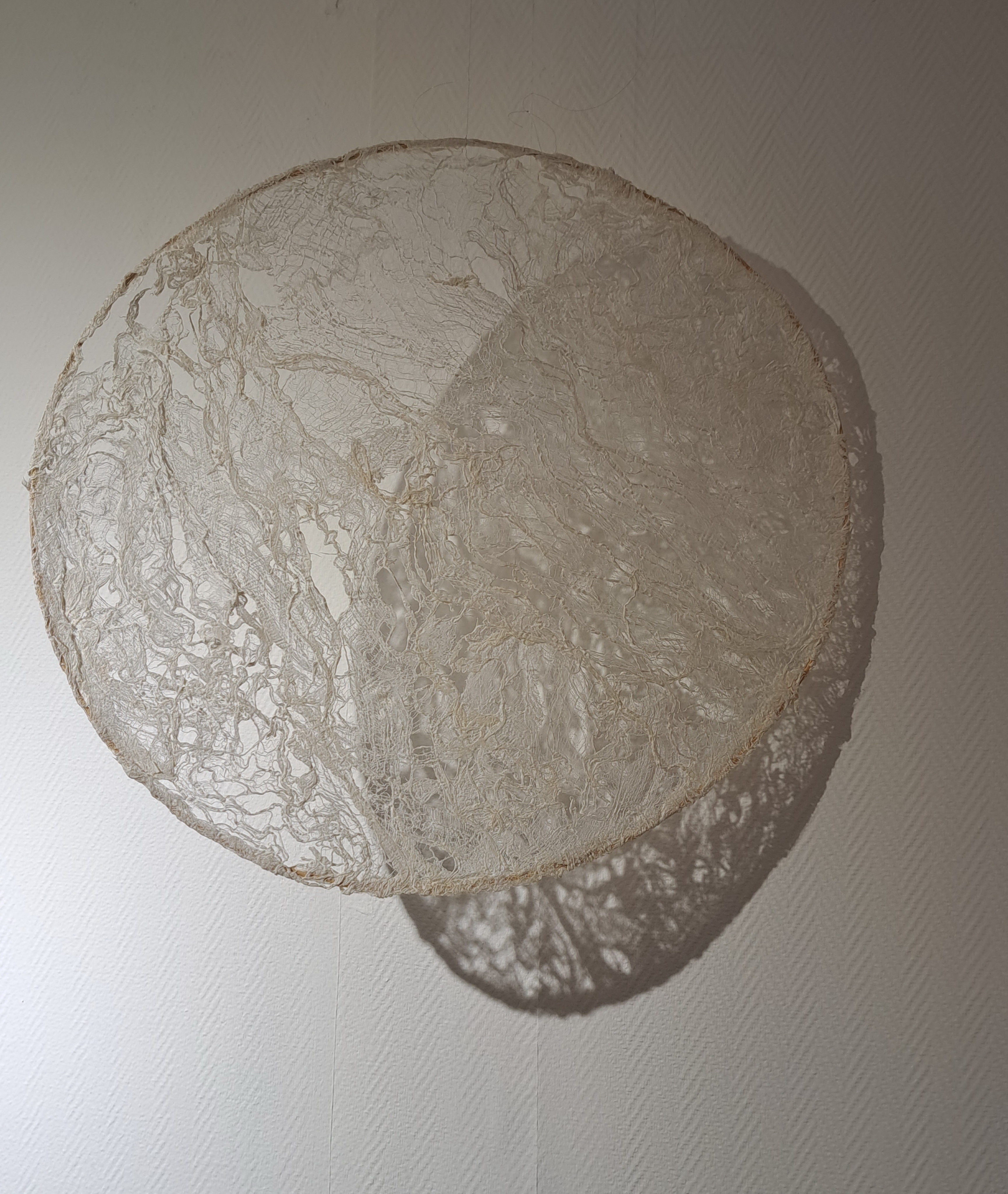 NicotLune