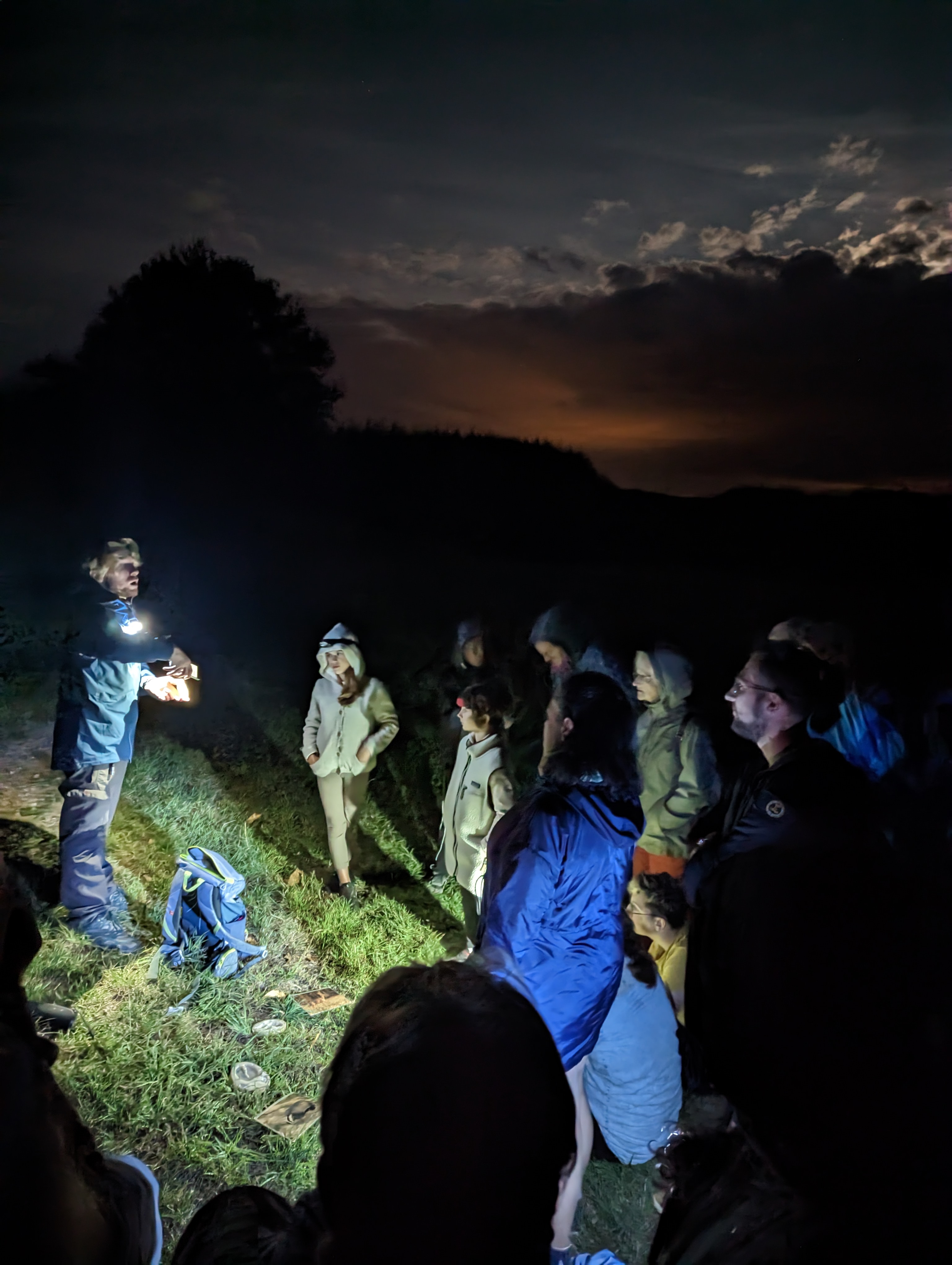 La faune nocturne du Saut de Gouloux