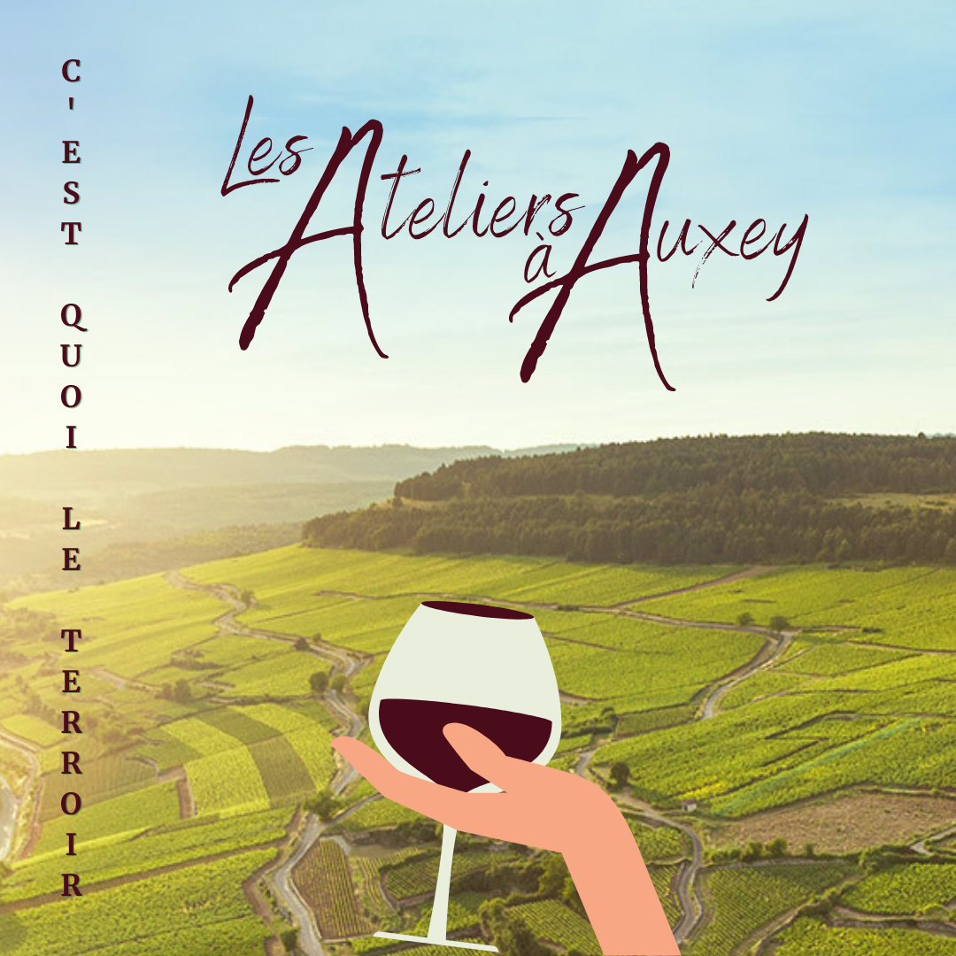 C'est quoi le terroir