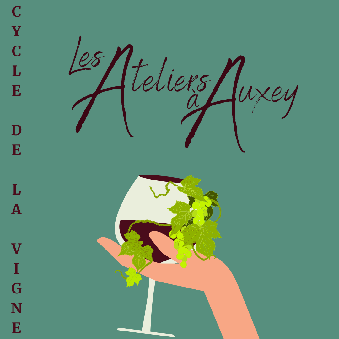 Cycle de la vigne
