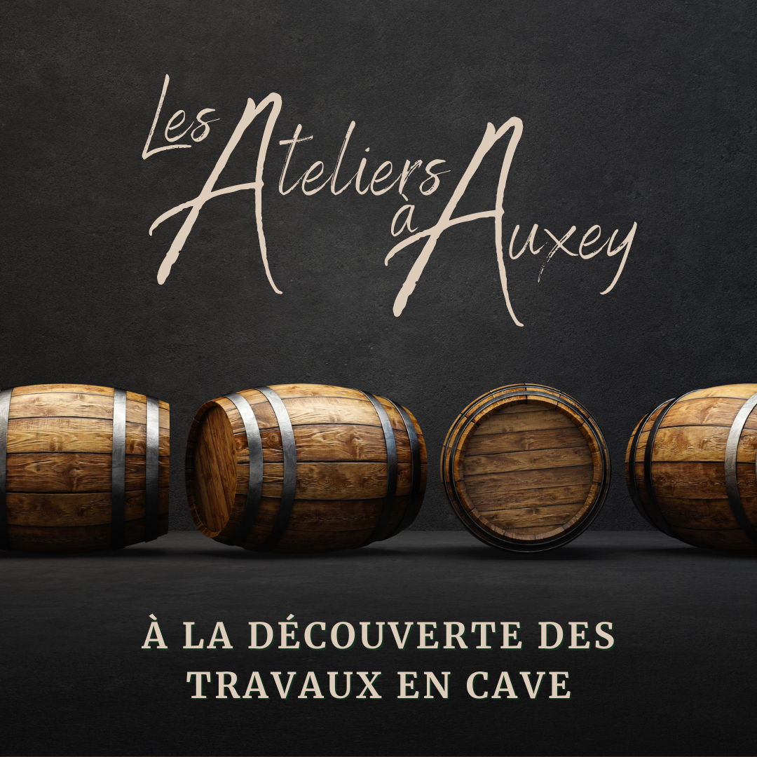 Travaux en cave
