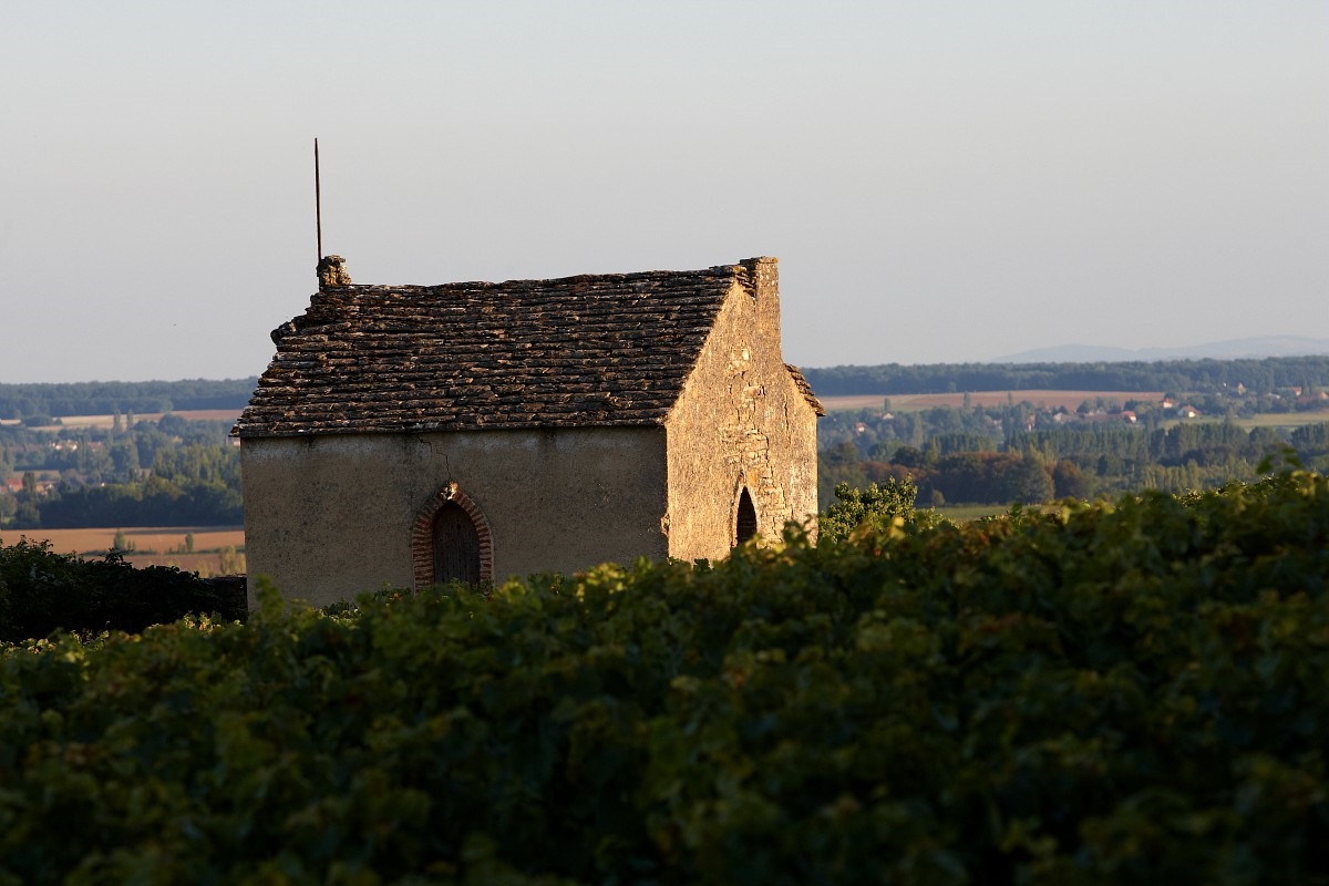 Maison du Dimanche