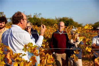 Fascinant Week-End - « Vis ma vigne » au Domaine Rocault