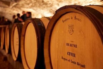 Hôtel-Dieu - Hospices de Beaune : Dégustation spéciale Vente des Vins