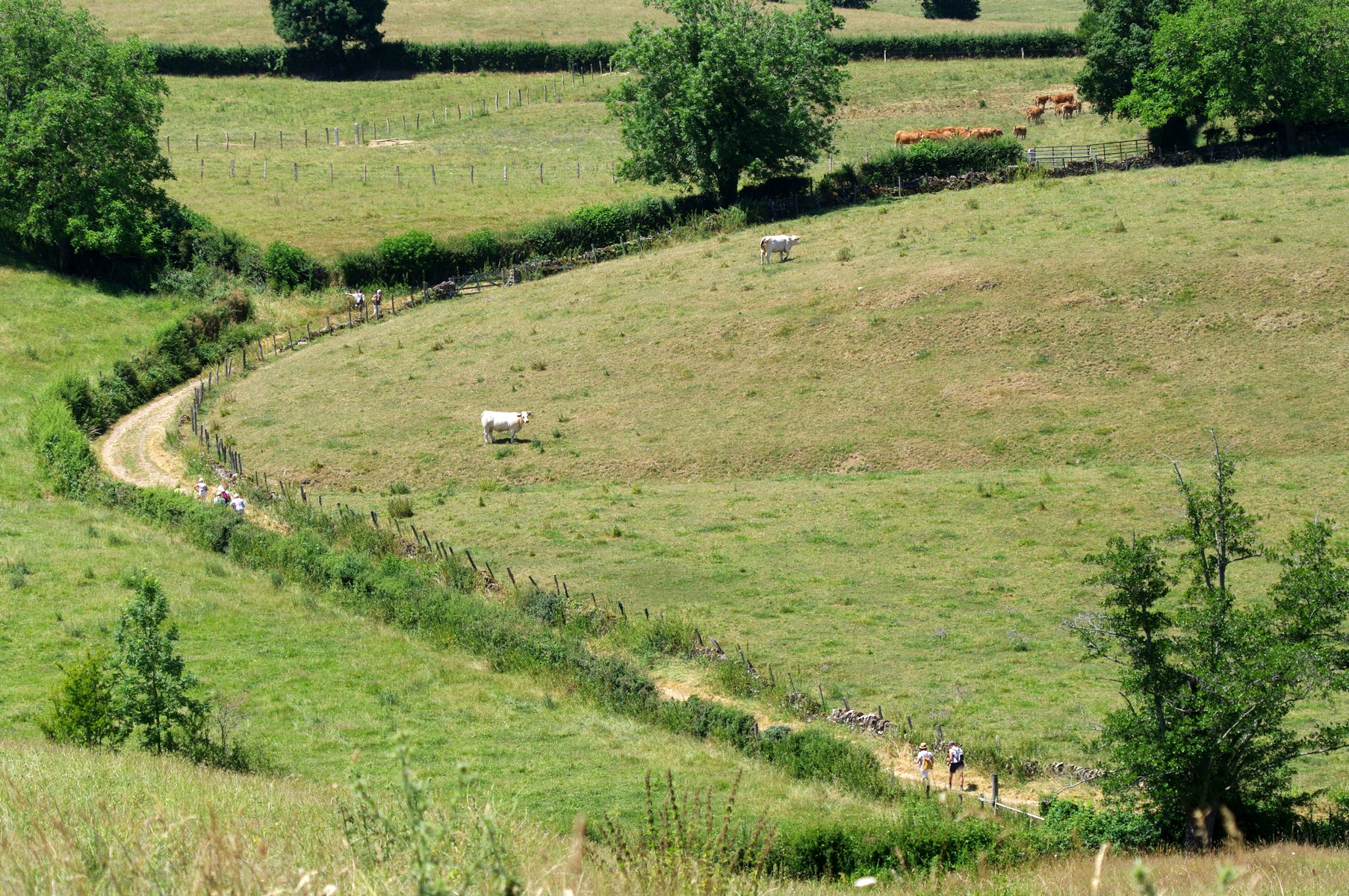 Par monts et par vaux