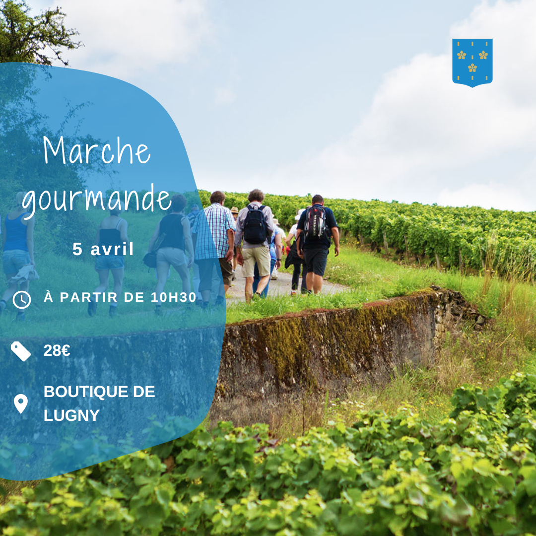 Oenotourisme masque RS  (3)