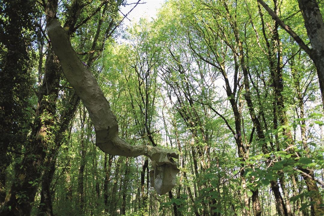 Parc de sculptures Île Art