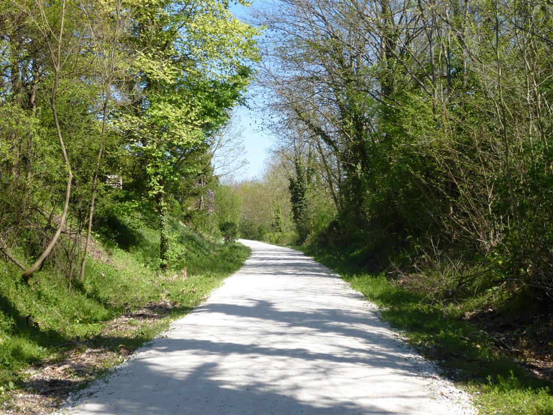 La Ligne des escargots