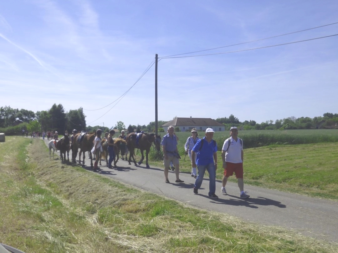 Les randonneurs en chemin
