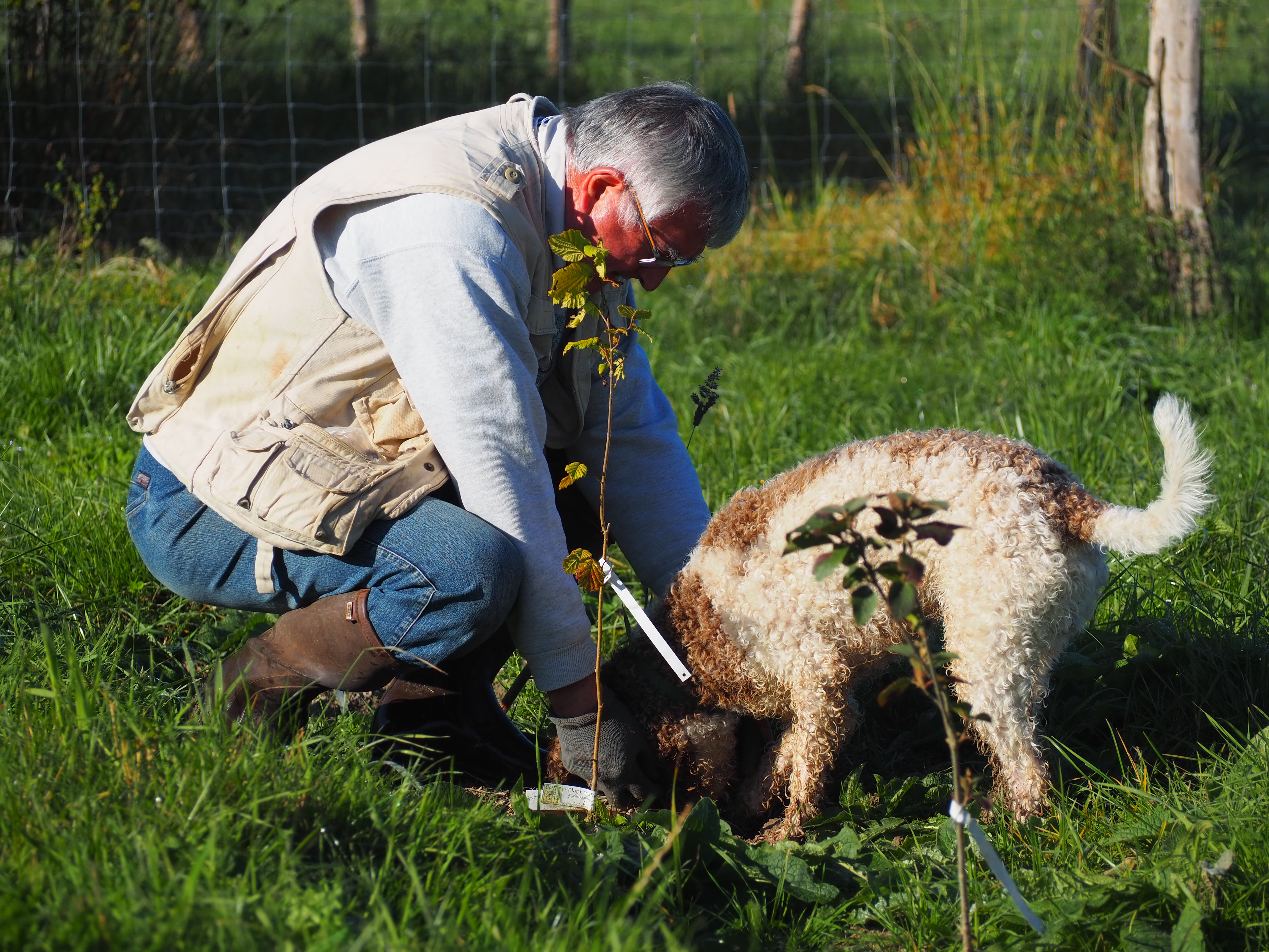 fete_papilles_issurtille_demonstration_cavage_route_truffe_cotedor