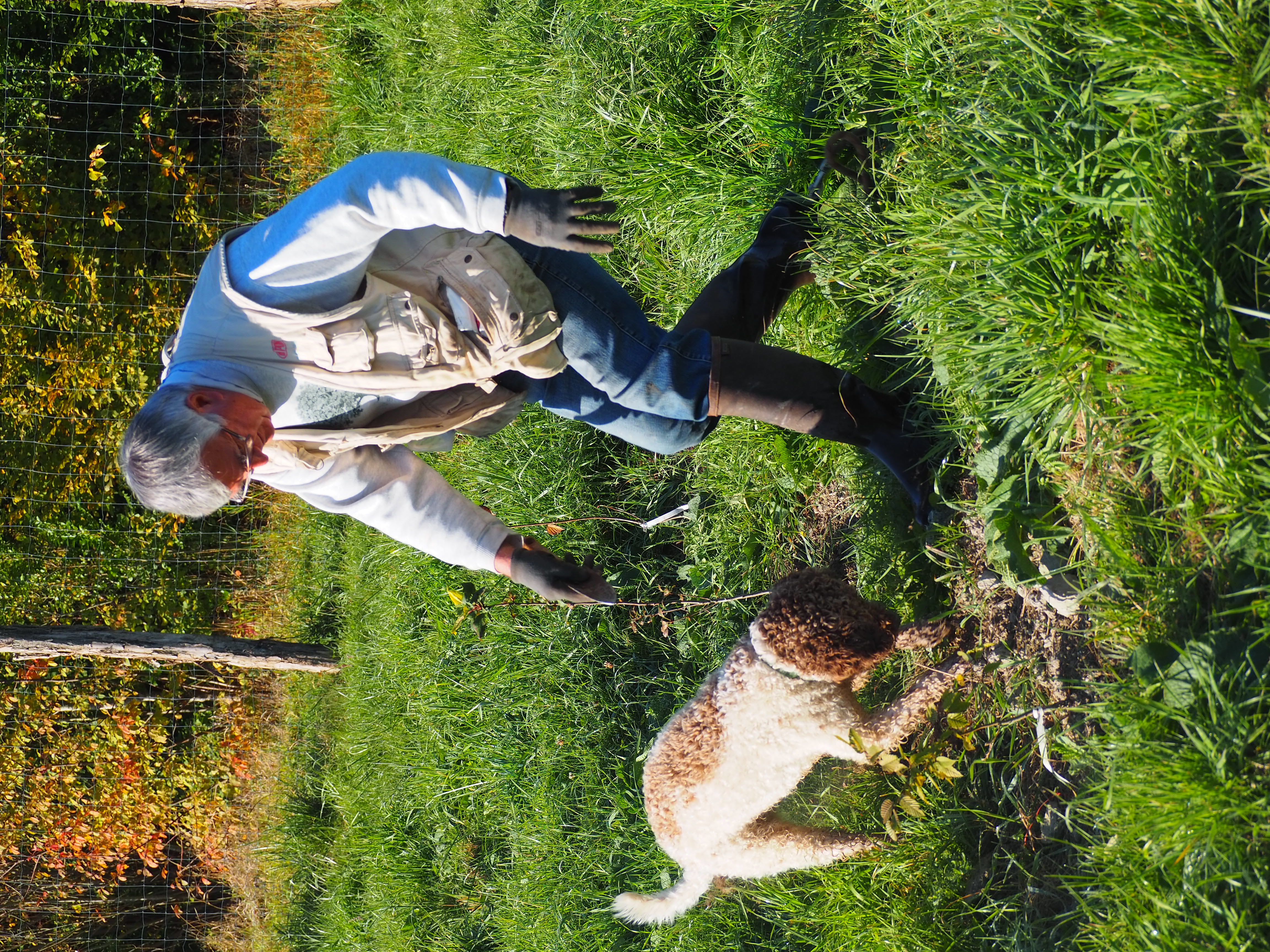 fete_papilles_issurtille_demo_cavage_route_truffe_cotedor