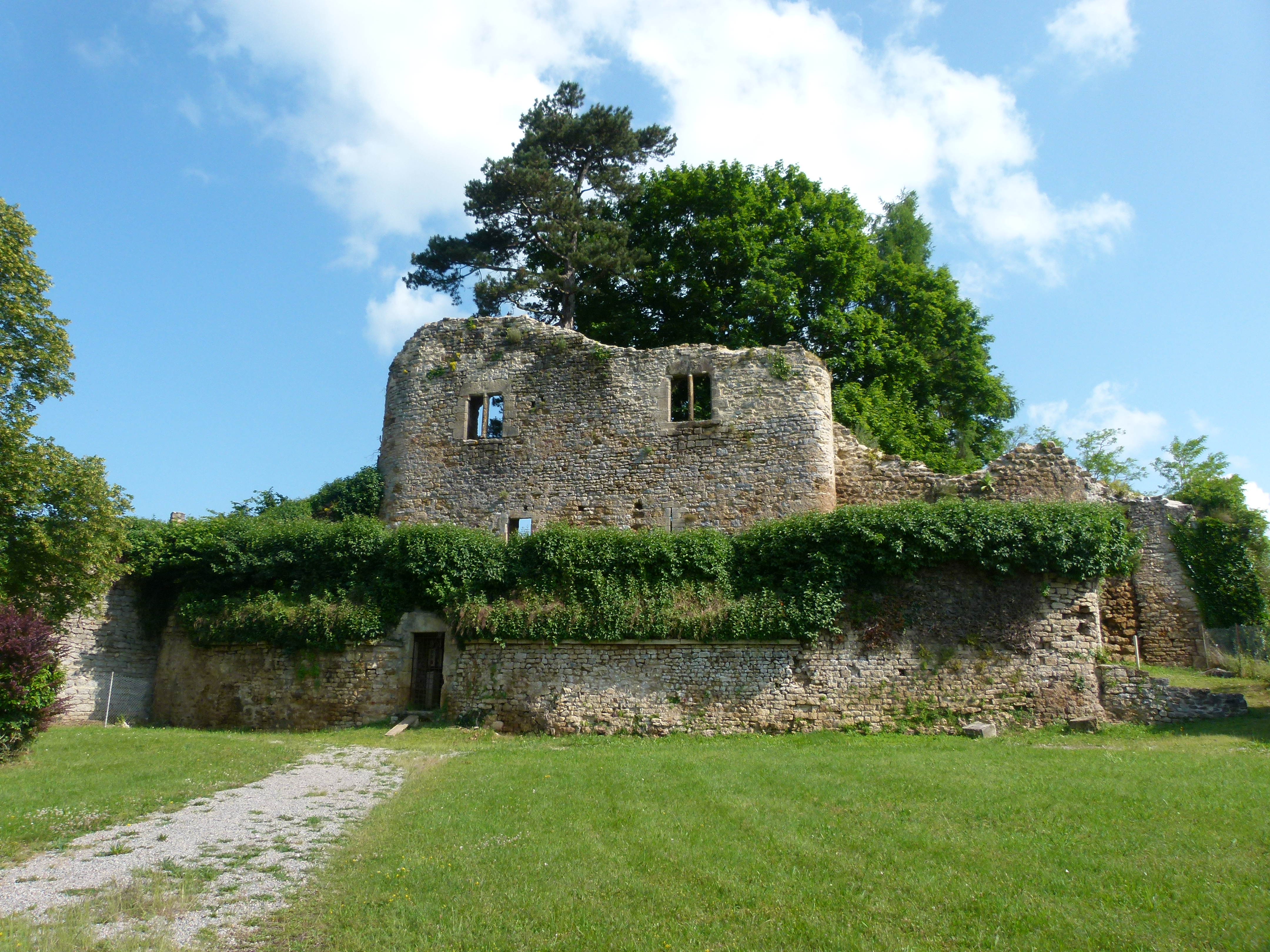 Vieux Château de Moulins-Engilbert