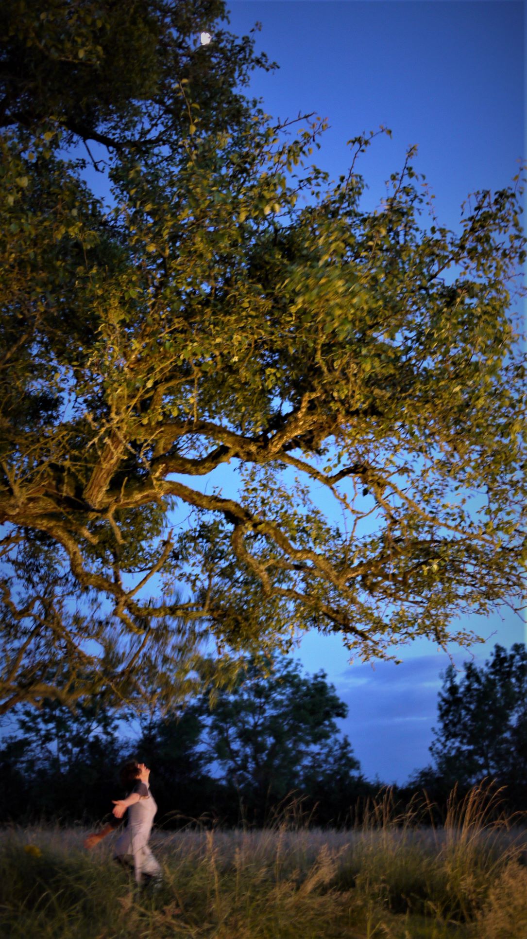 P1100879