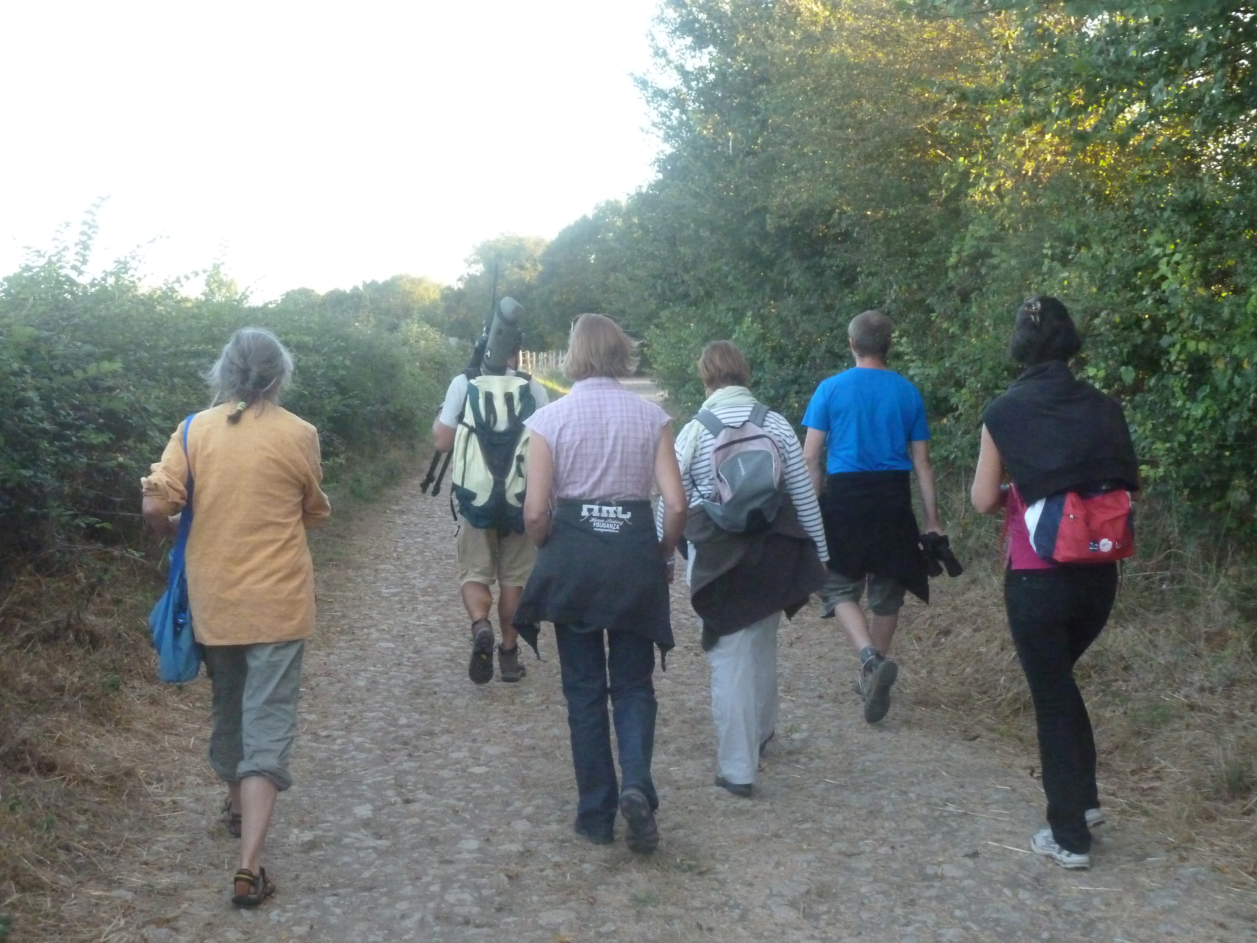 Biodiversité des chemins