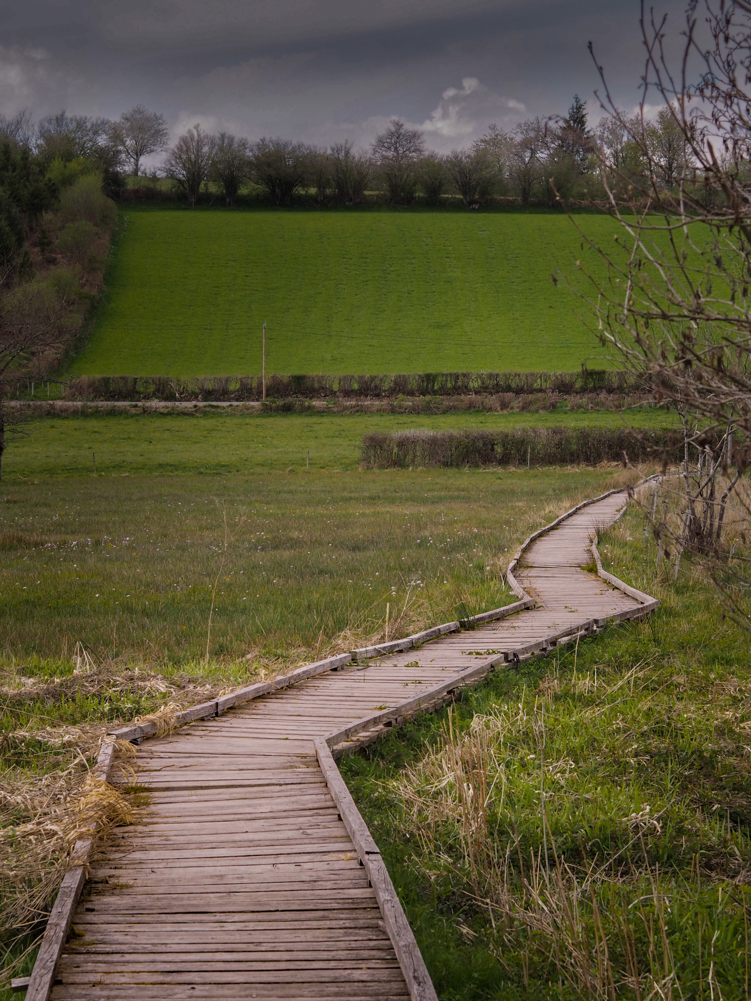 Sentier des prairies de Montour