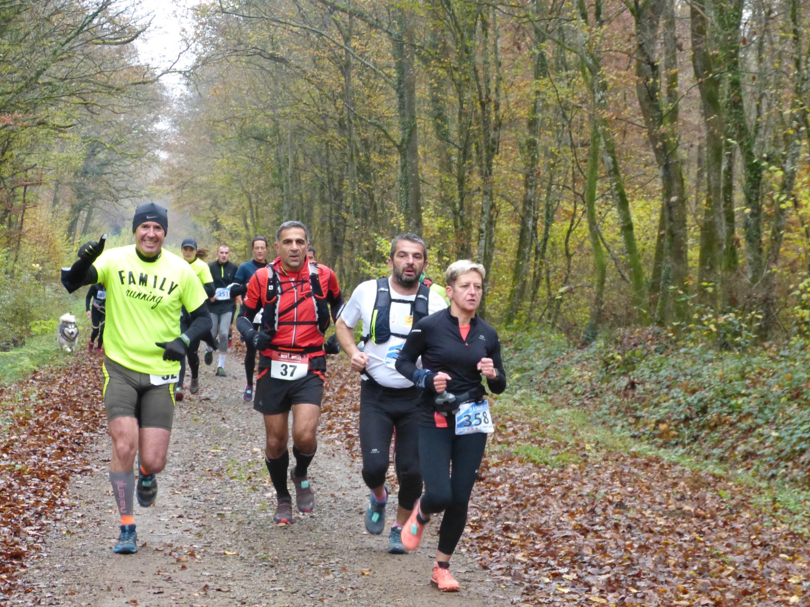 Des parcours nature au coeur de la forêt de Charolles 