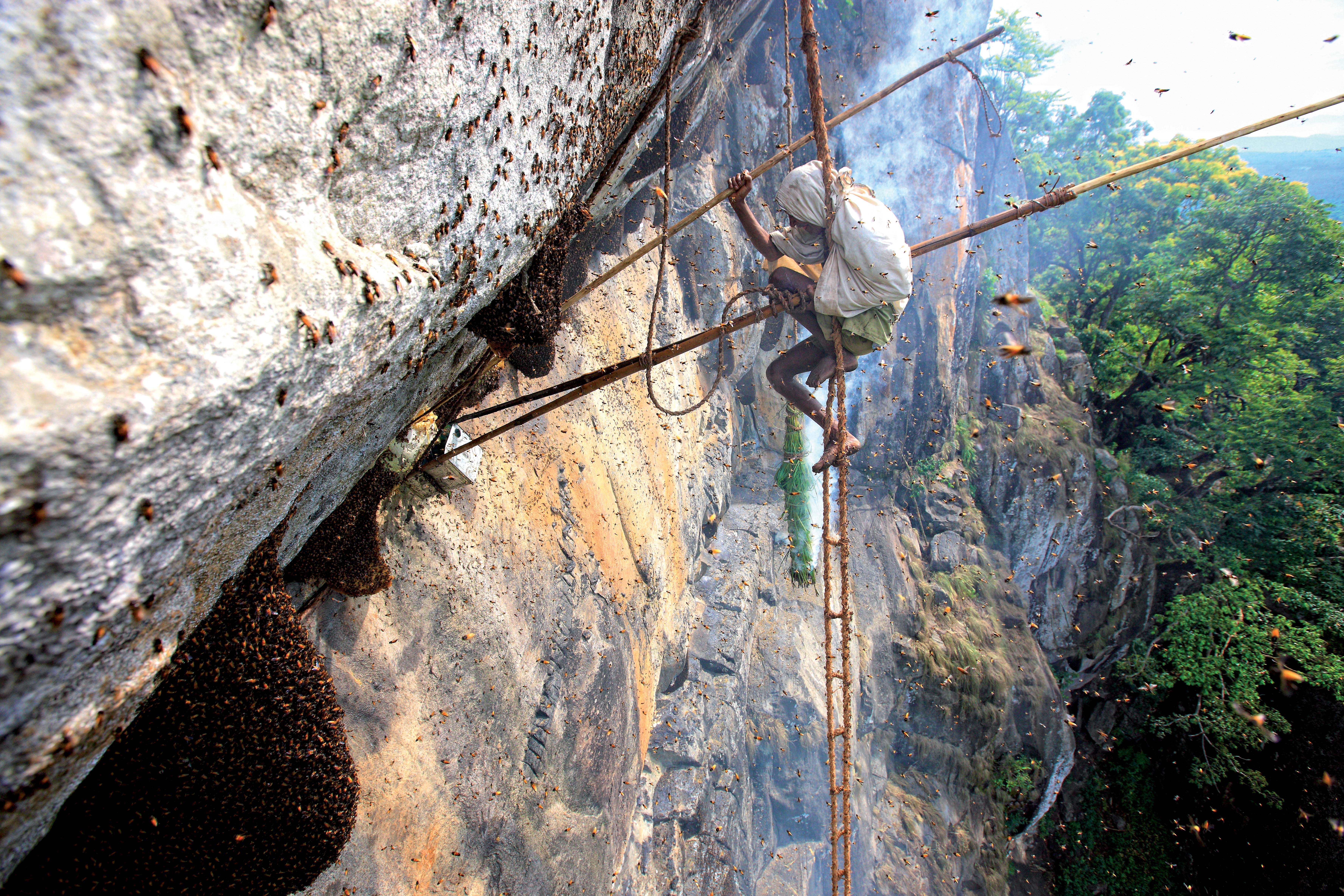 PHOTO ERIC TOURNERET 1