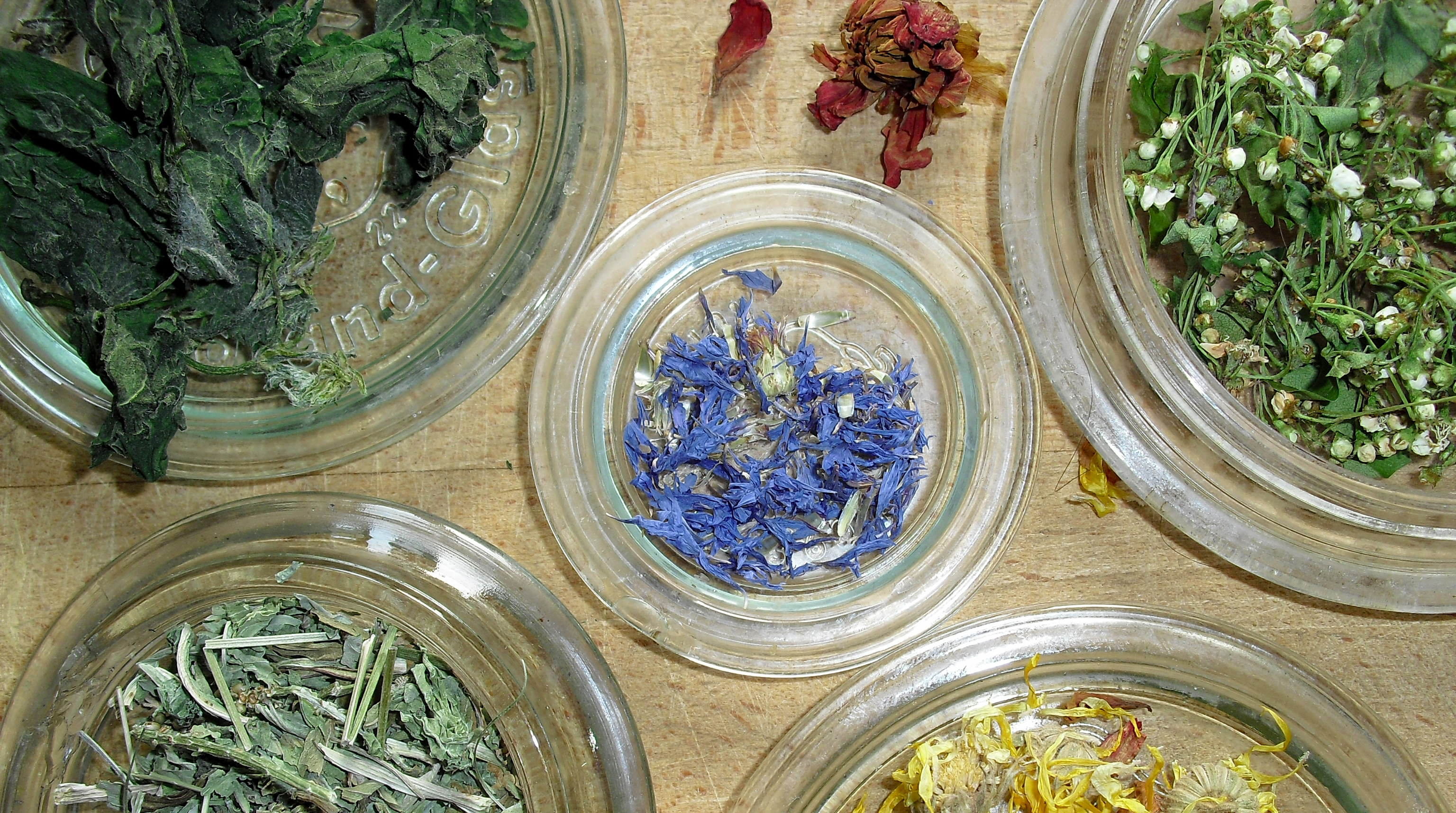 Plantes médicinales