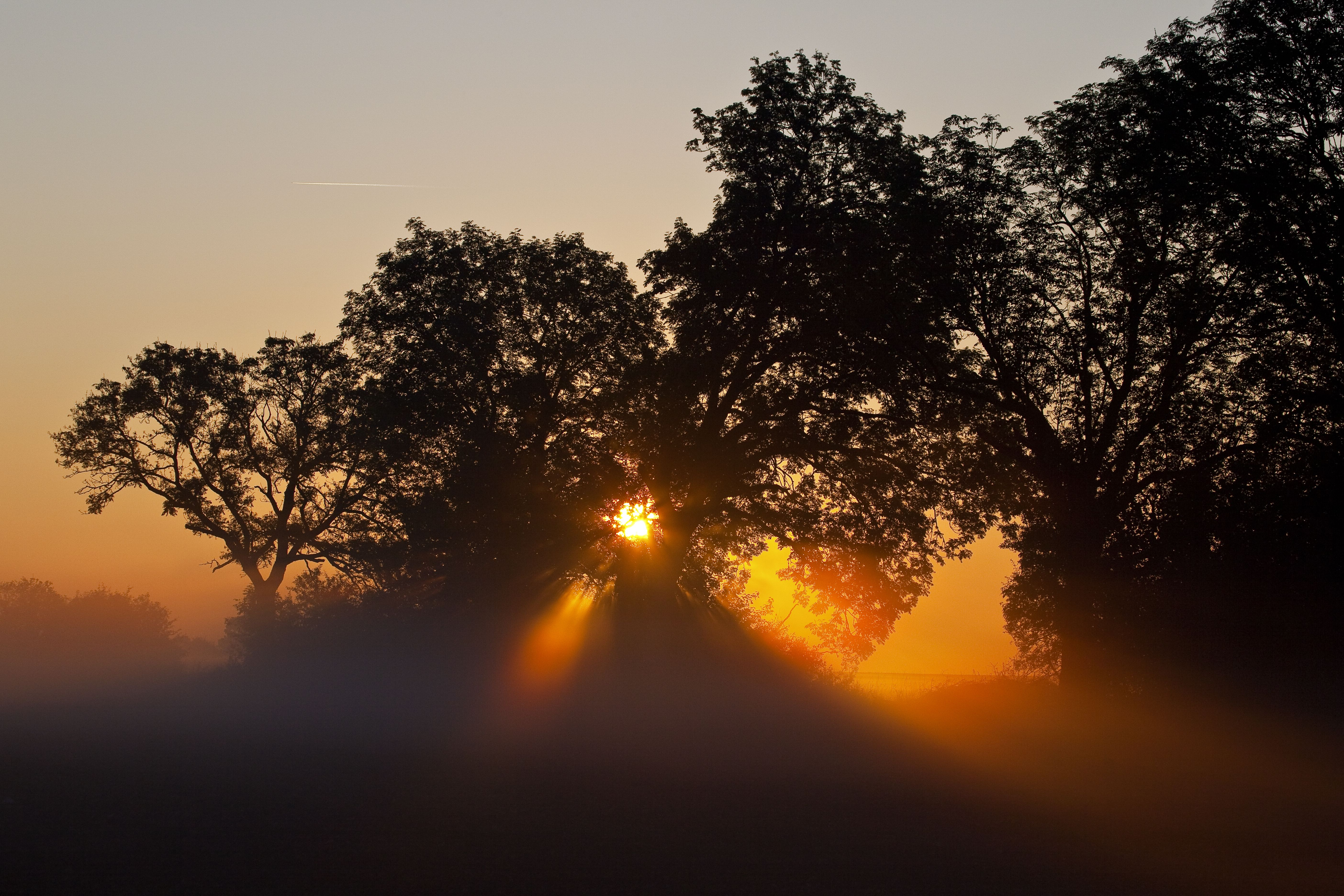 Couché de soleil