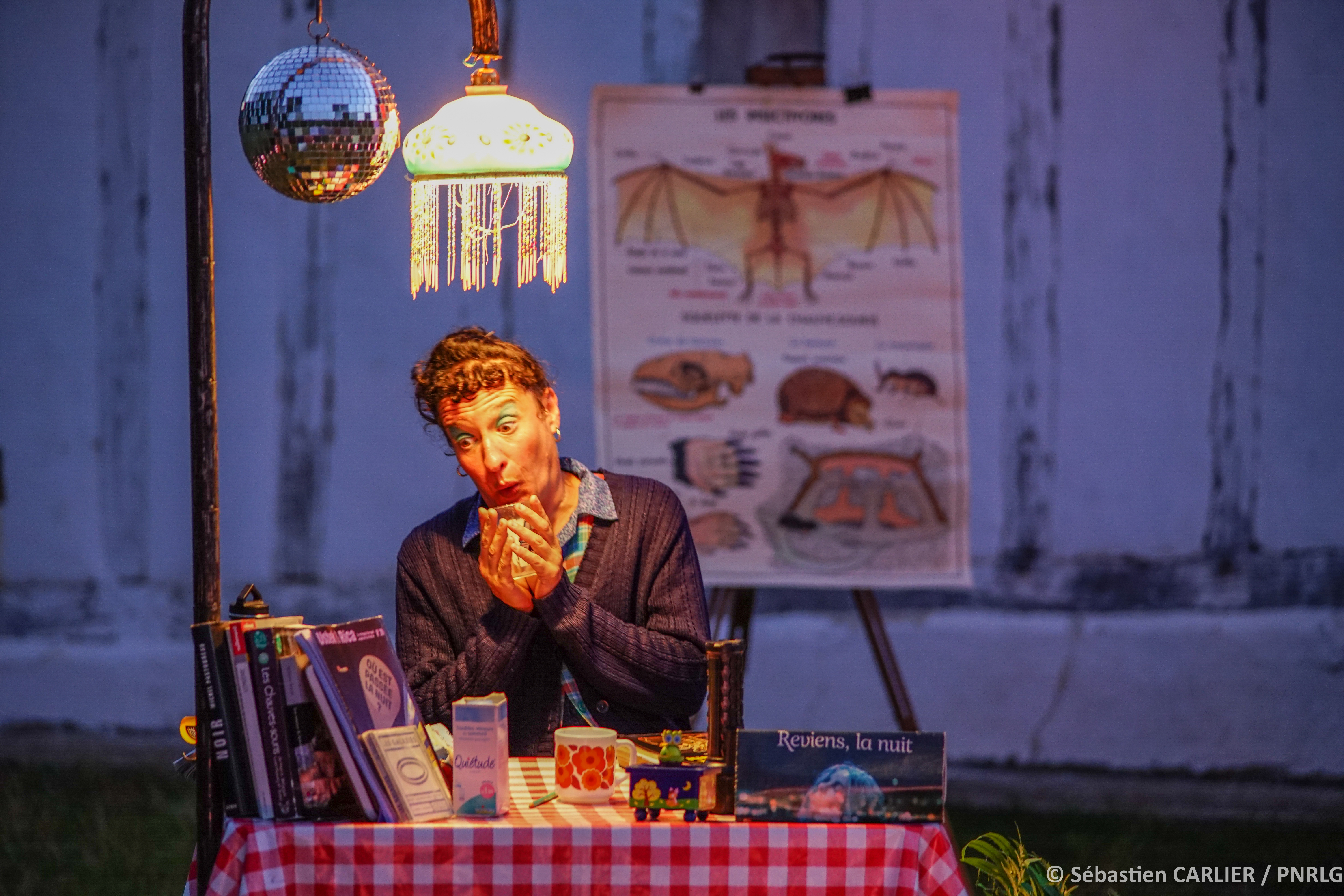 PNRLG Seb carlier  - nuit des forêts 2023-7