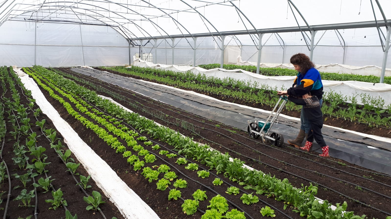La Ferme du Ruisseau