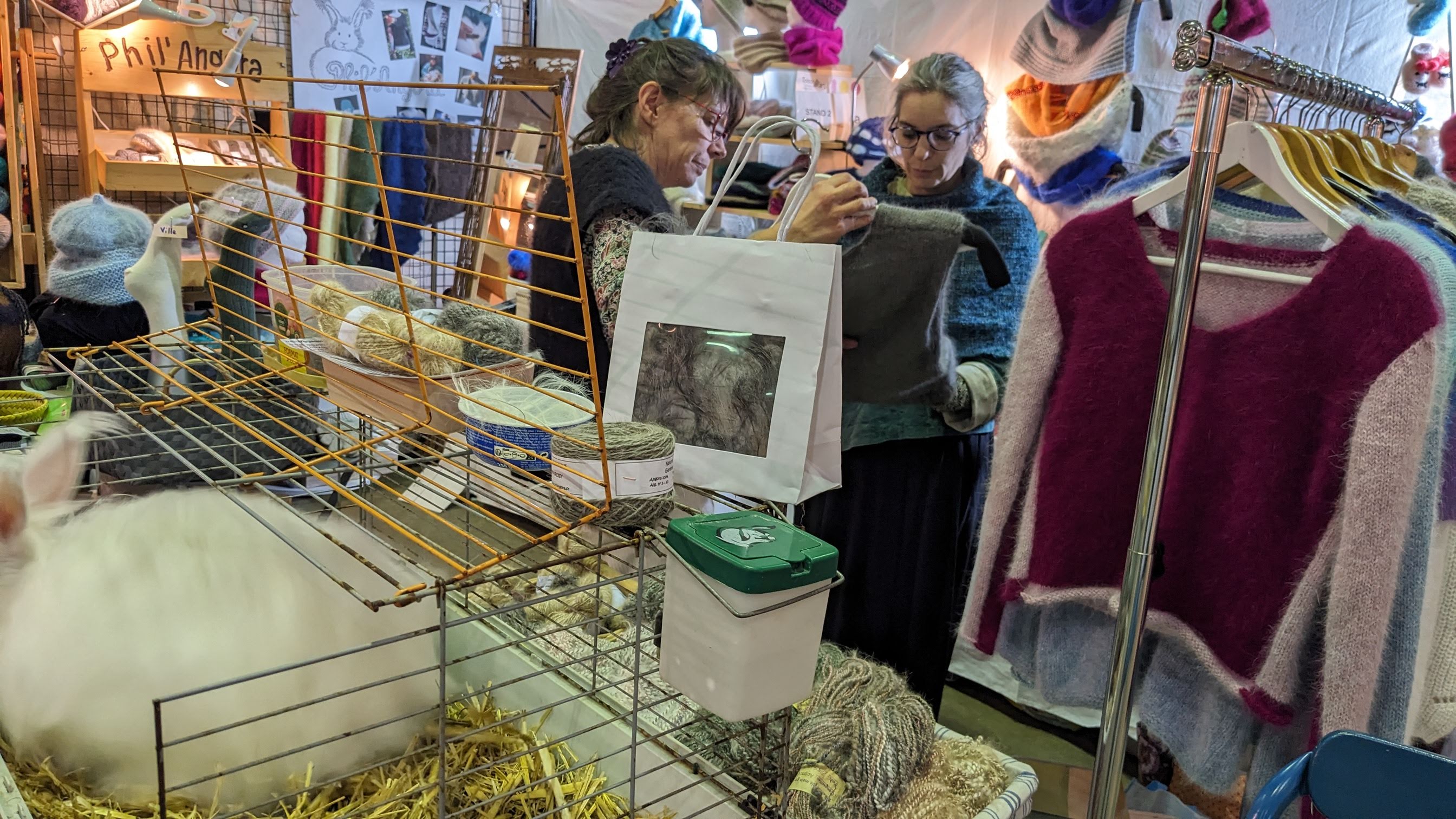 Producteurs de laine angora - Phil'angora