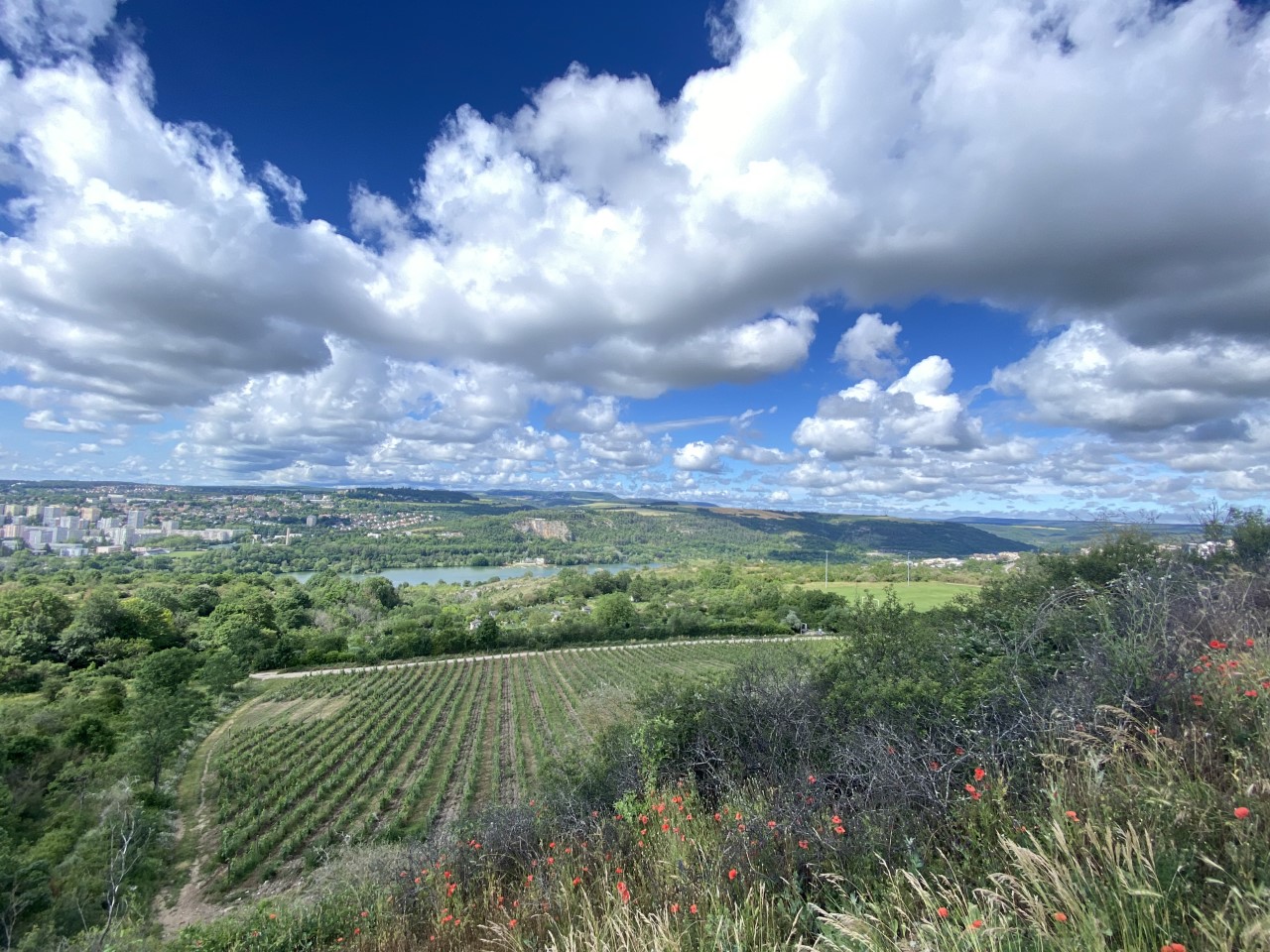 Panorama Talant - KWS