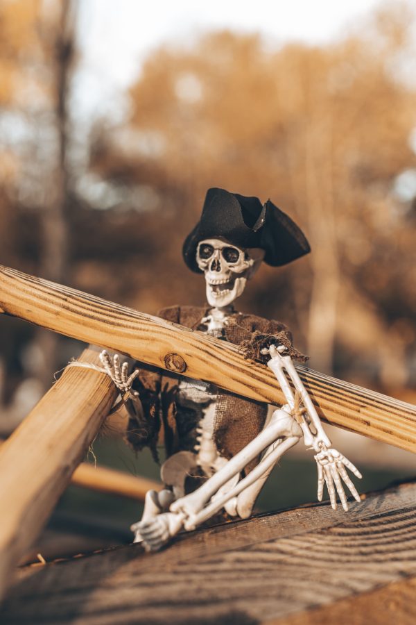 Halloween au Parc de l'Auxois