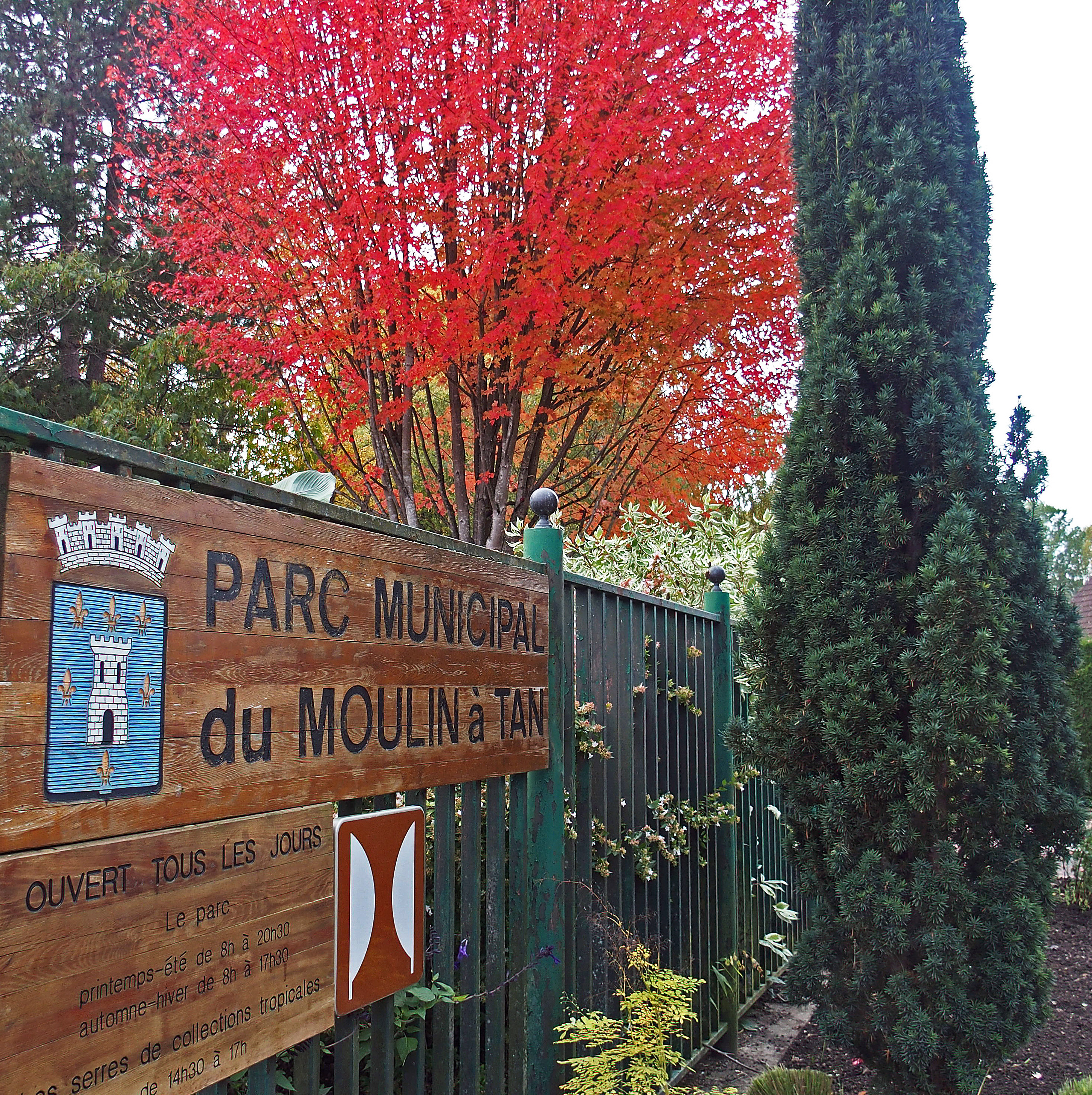 Découverte des oiseaux du parc