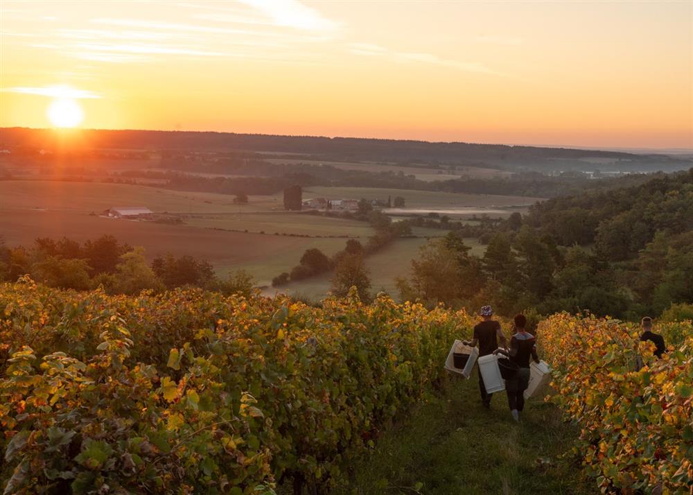 Domaine Henriot