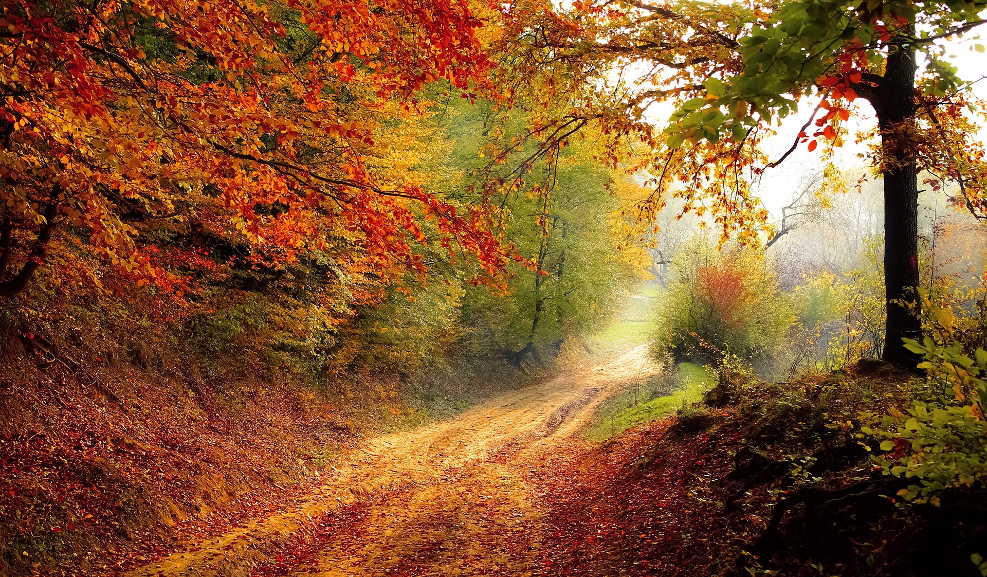 Paysage