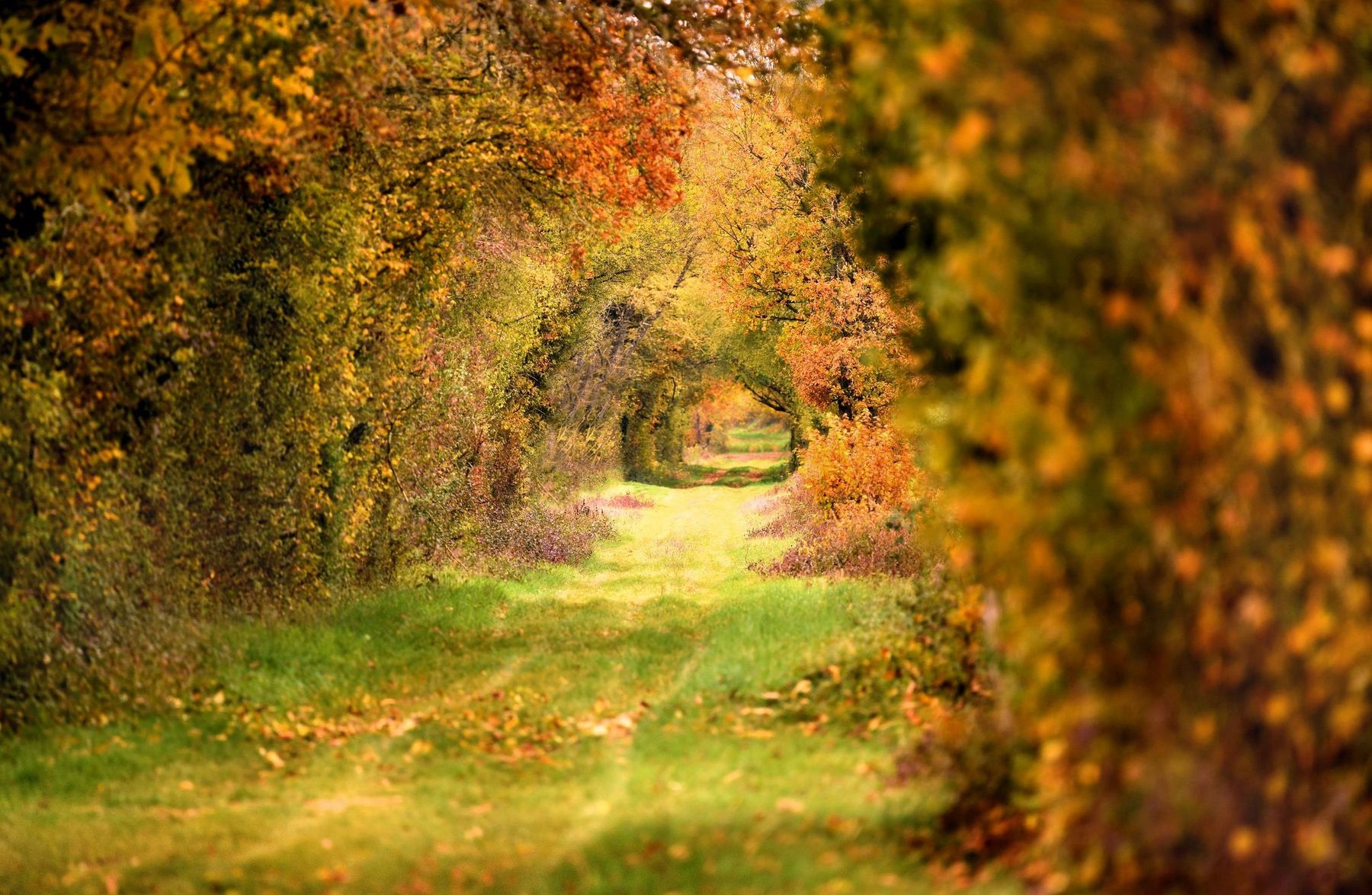 Chemin de la Romance