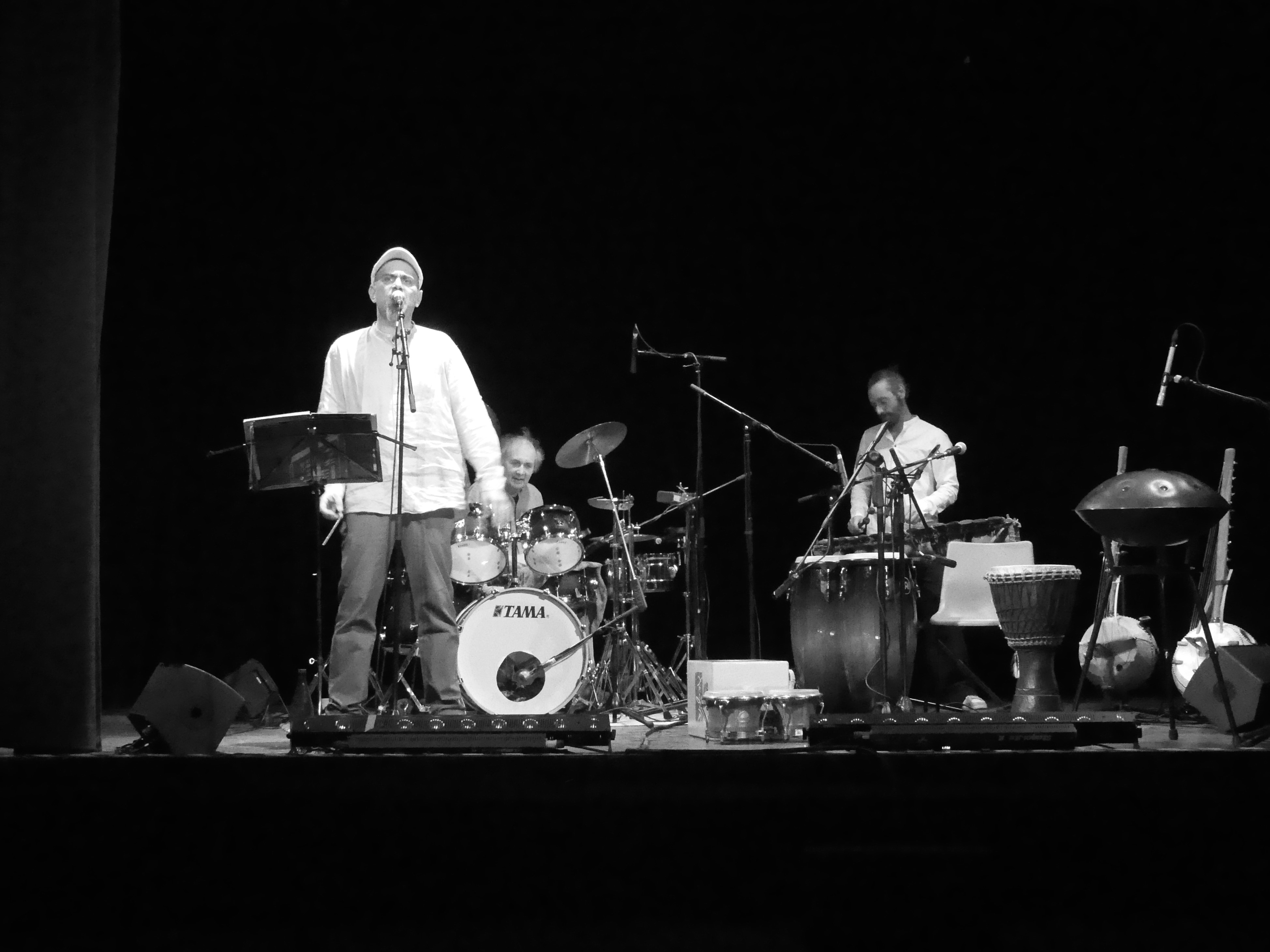 Perfola Lorris 2023 B (1)