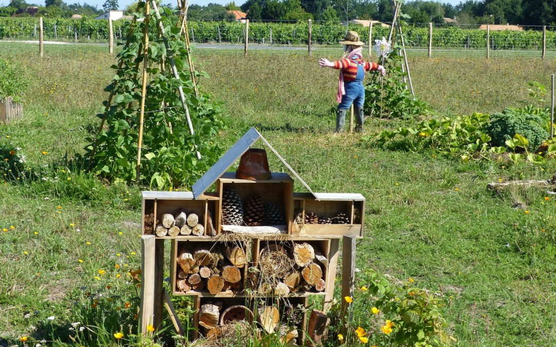 L'ÉVEIL DE LA PERMACULTURE