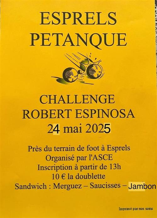 Concours de pétanque