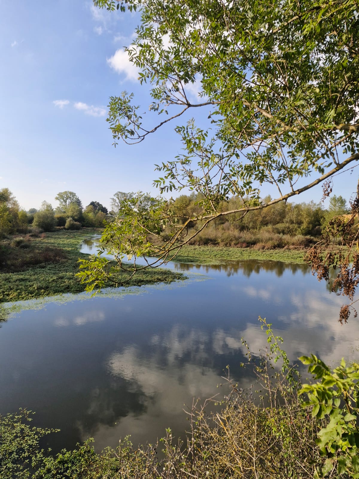 Espace Naturel Sensible du Petit Fleury
