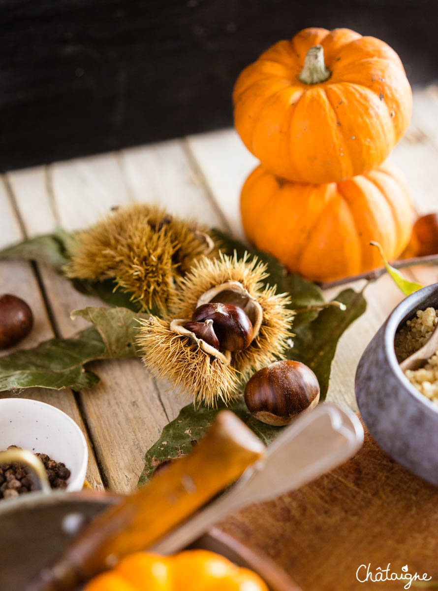 Petites-courges-Jack-be-little-farcies-5