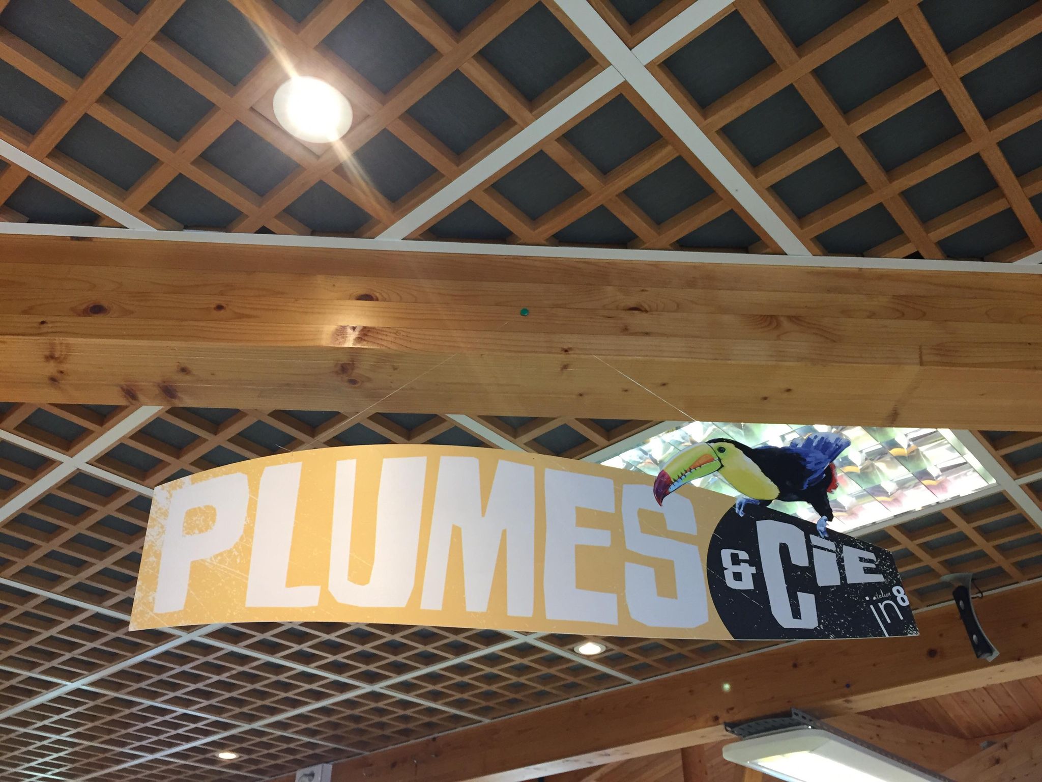 Photo Expositions Plumes & Compagnie 13