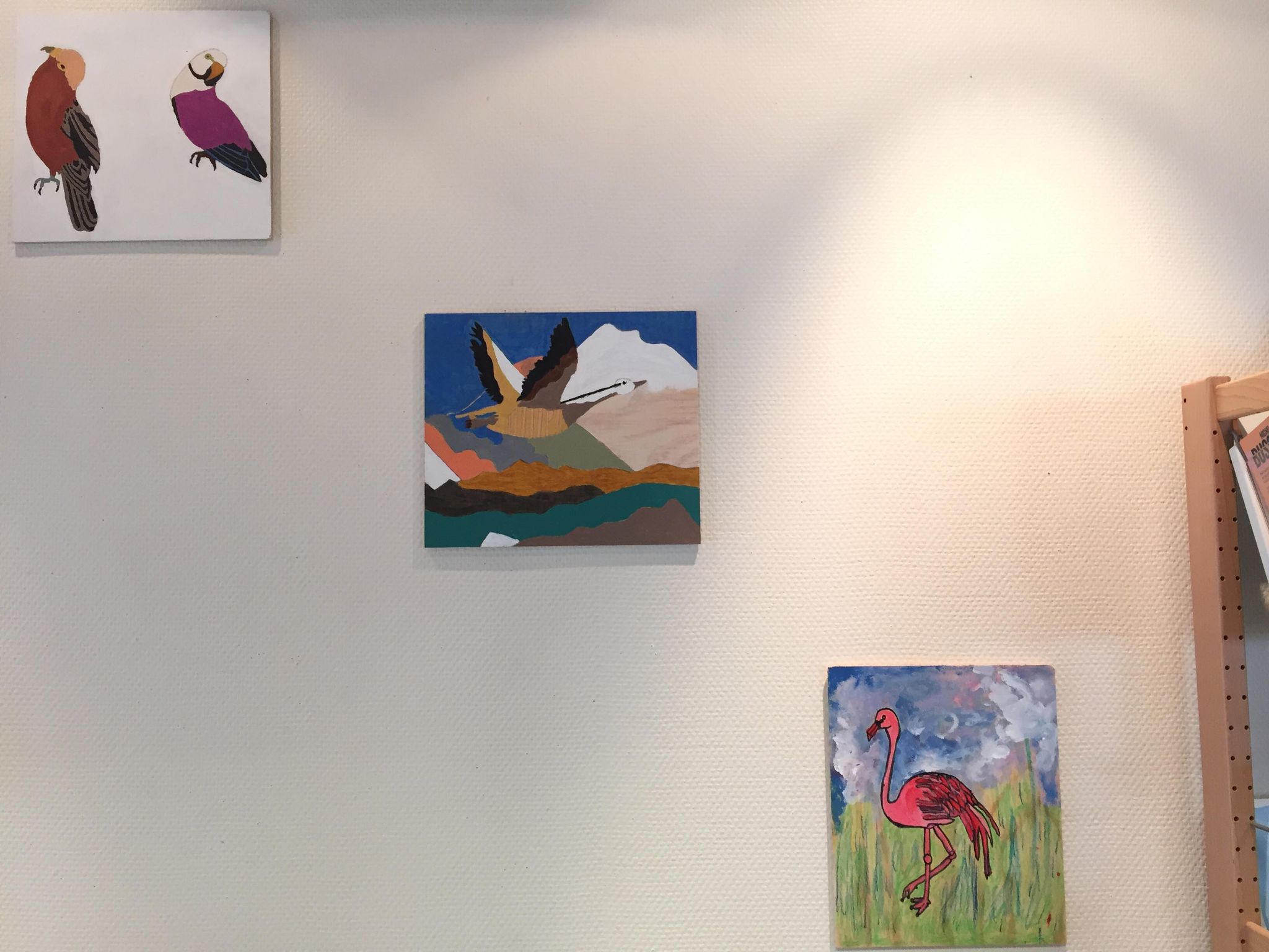Photo Expositions Plumes & Compagnie 16