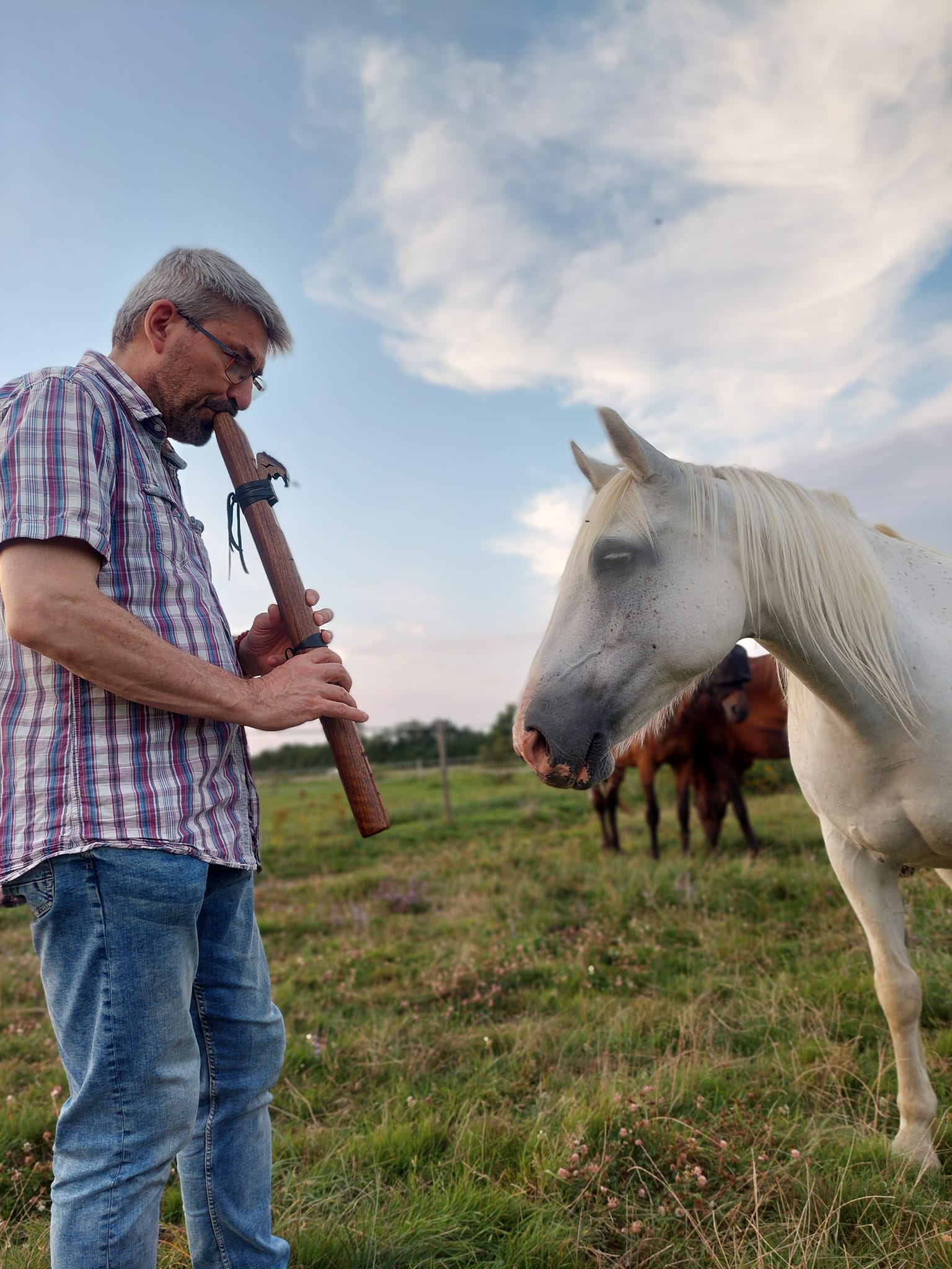 Photo PP Flute aevc jument Élie 08 2024