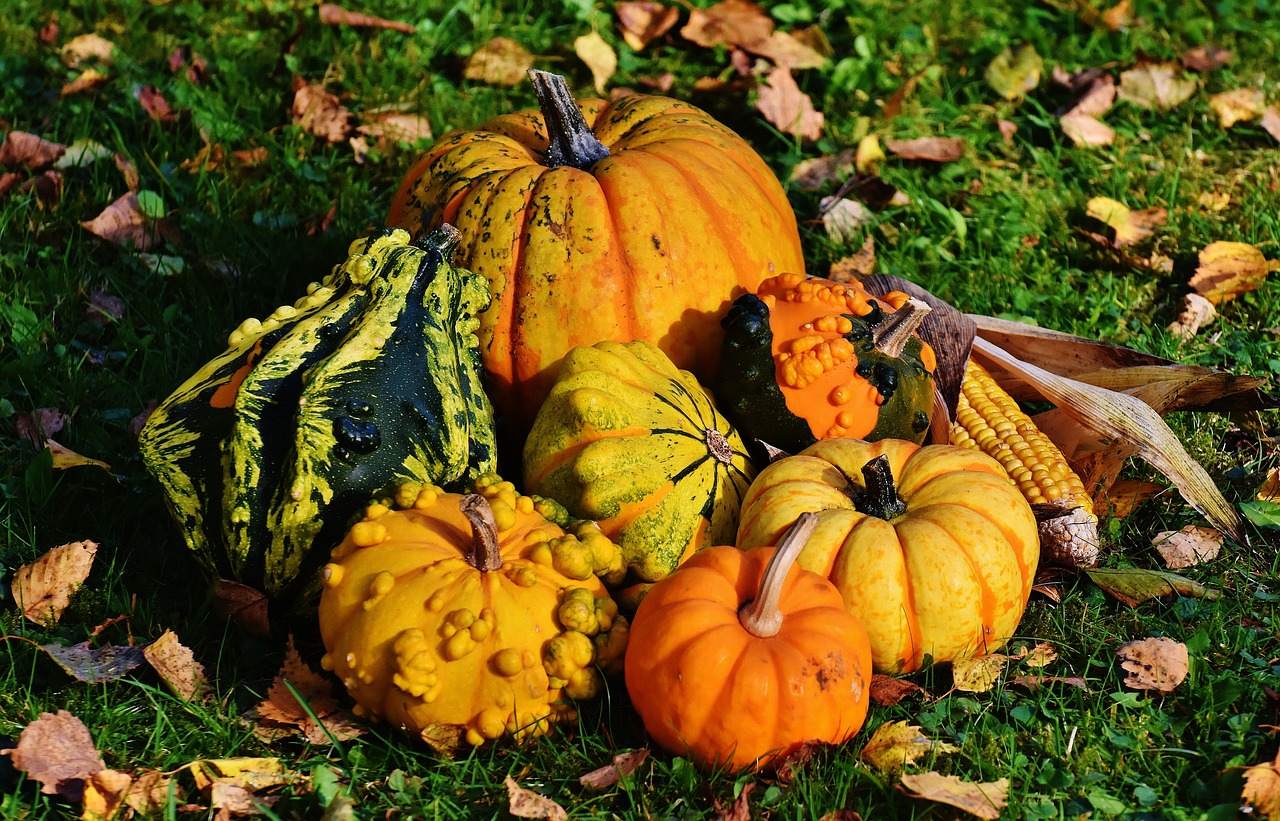 Ambiance halloween