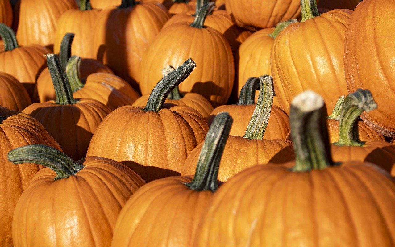 Ambiance halloween