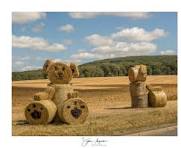 COMICE RURAL DE ST SAULGE