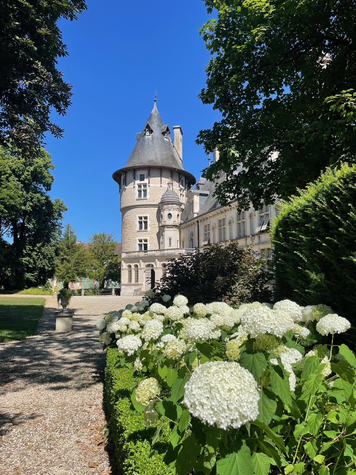 Chambres d'hôtes du Château de Montigny-sur-Aube, chambre d'hôtes à Montigny-sur-Aube