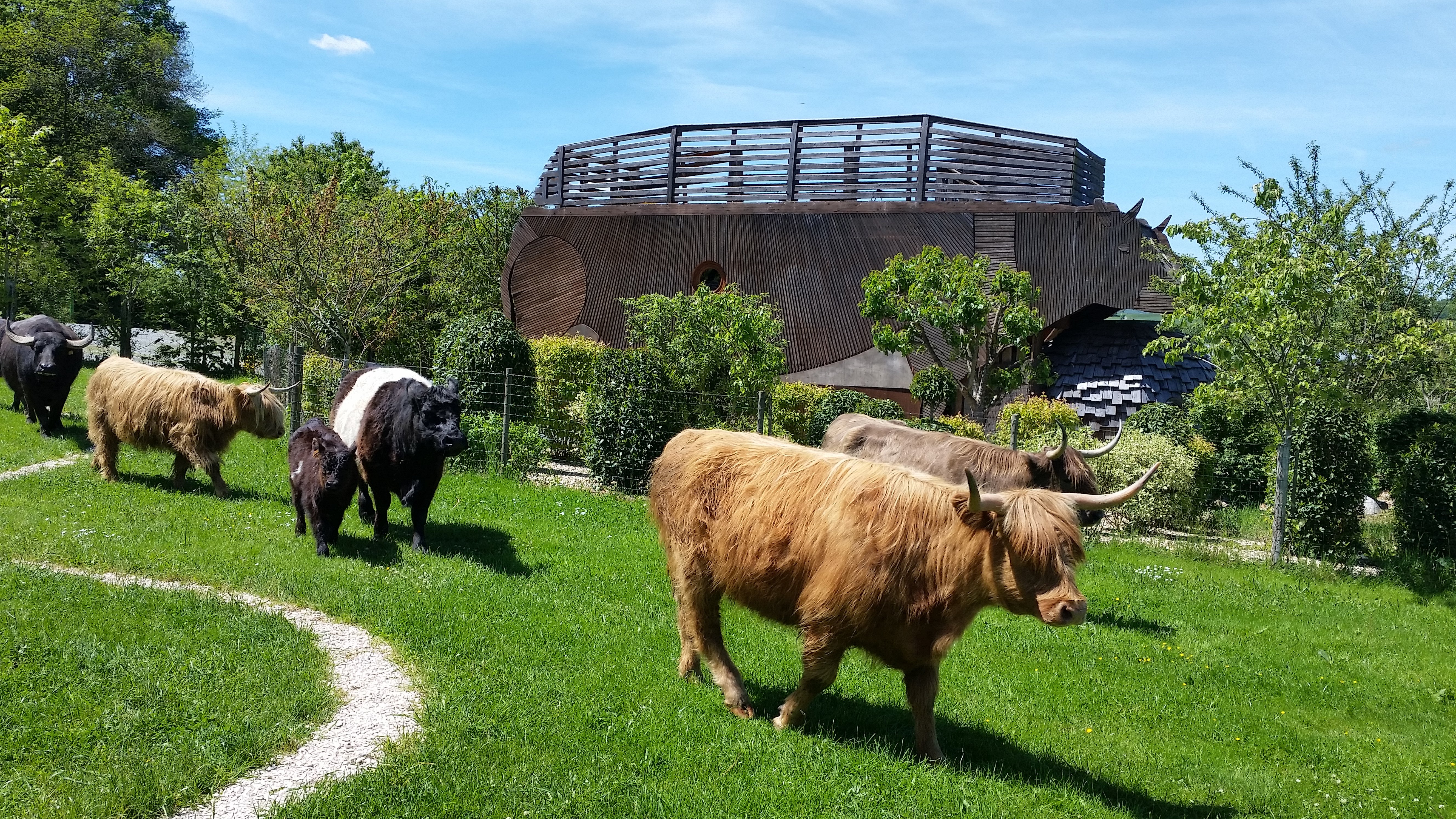 Vache Ecolodge, chambre d'hôtes à Toulon-sur-Arroux